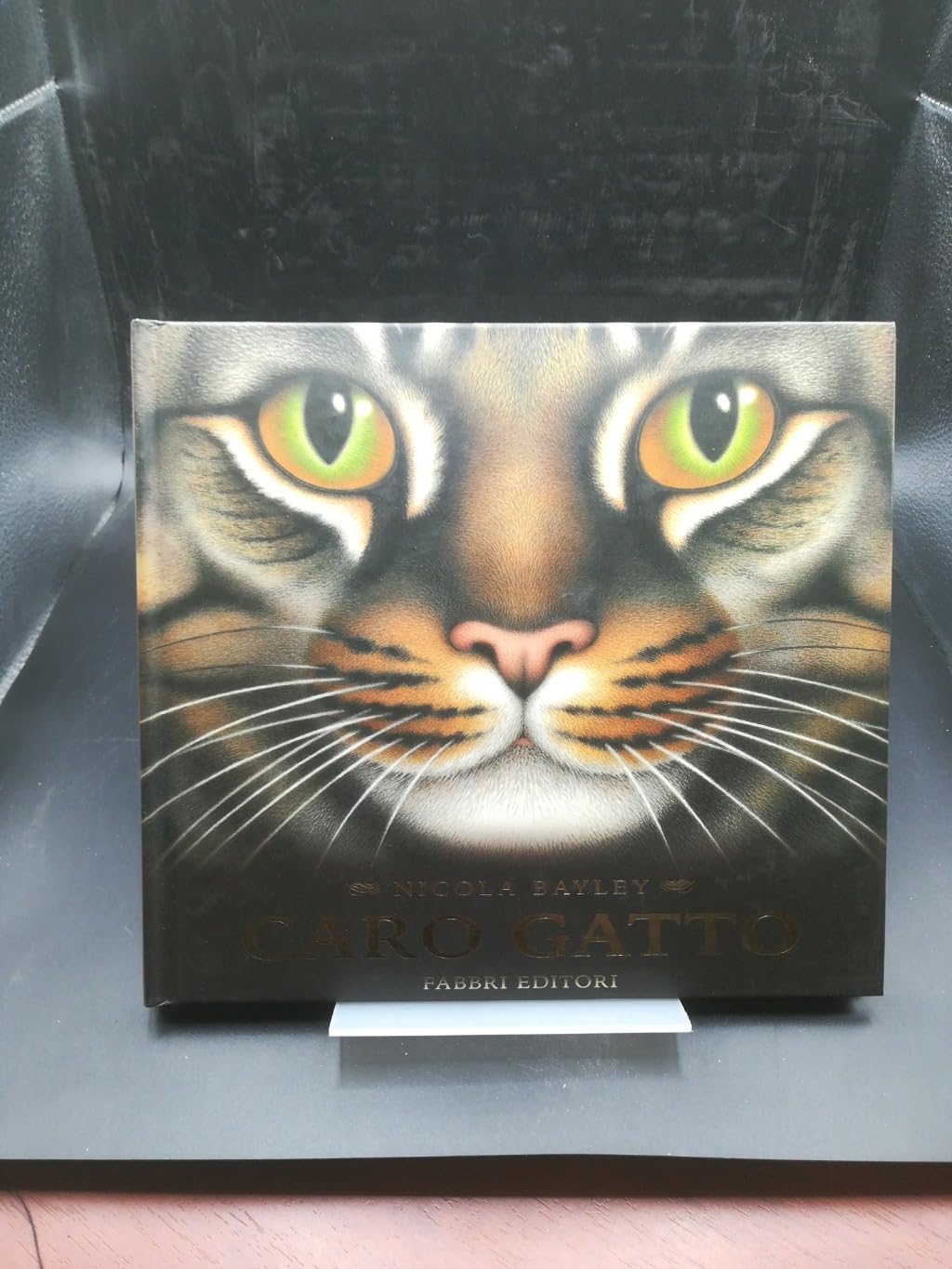 Caro gatto. Ediz. illustrata (Album illustrati) Children's books