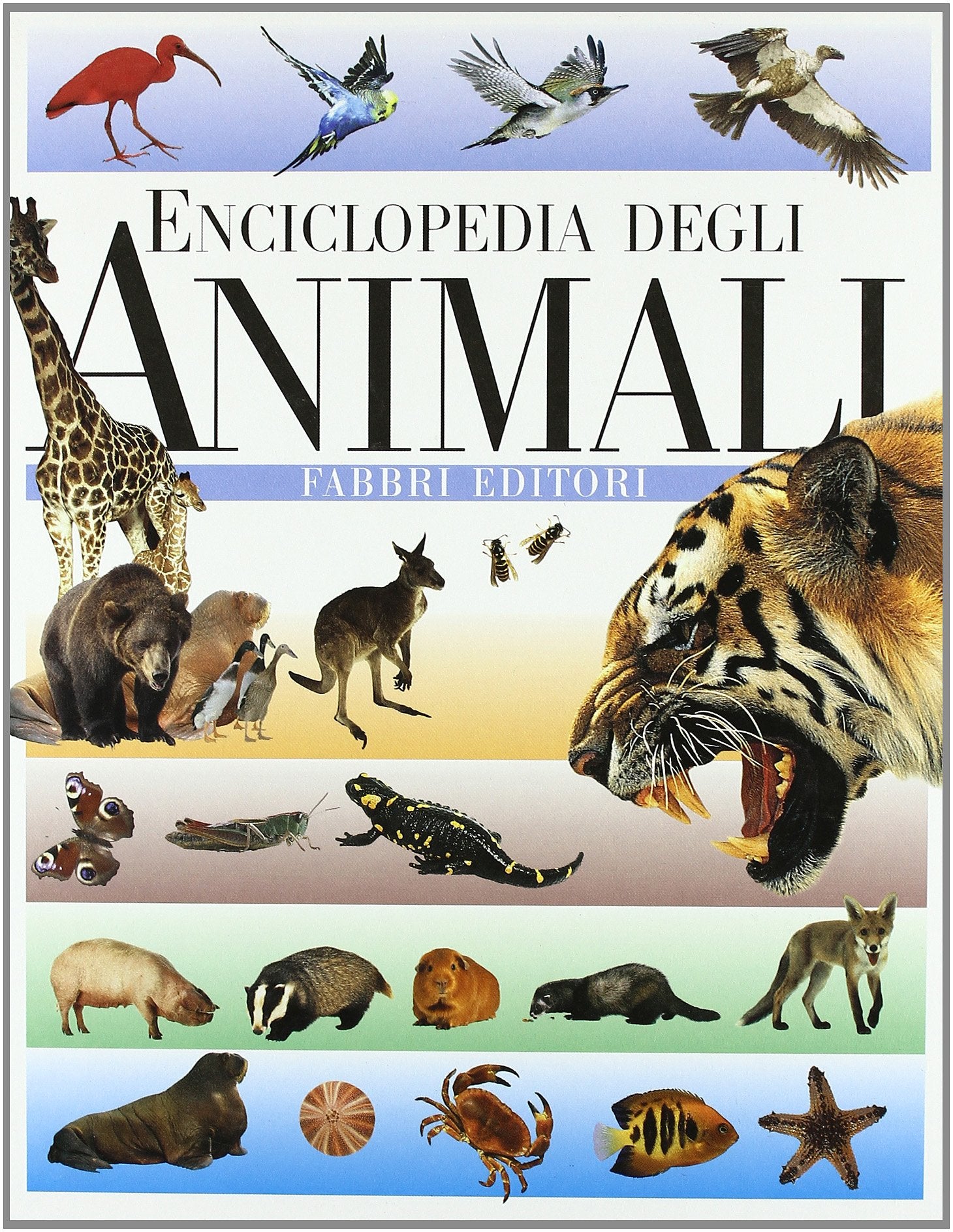 L'enciclopedia degli animali book
