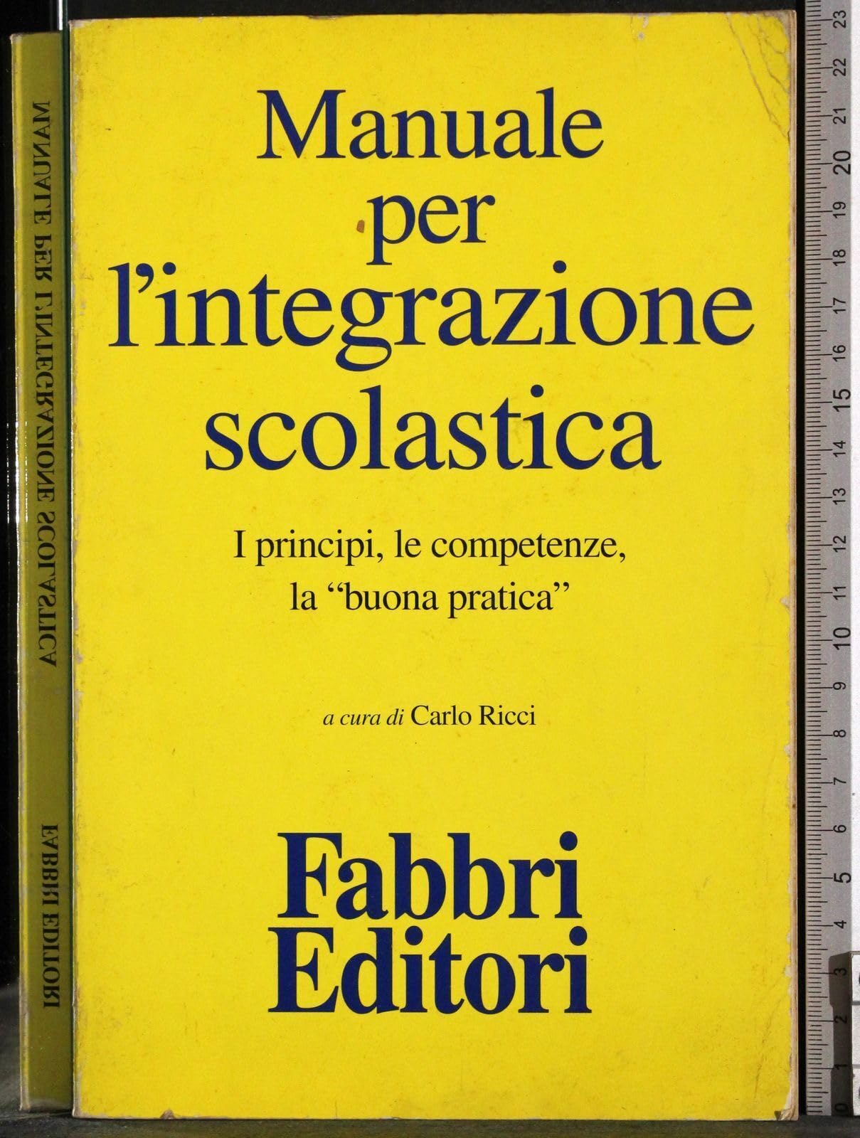Manuale per l'integrazione scolastica. I principi, le competenze, la buona pratica book