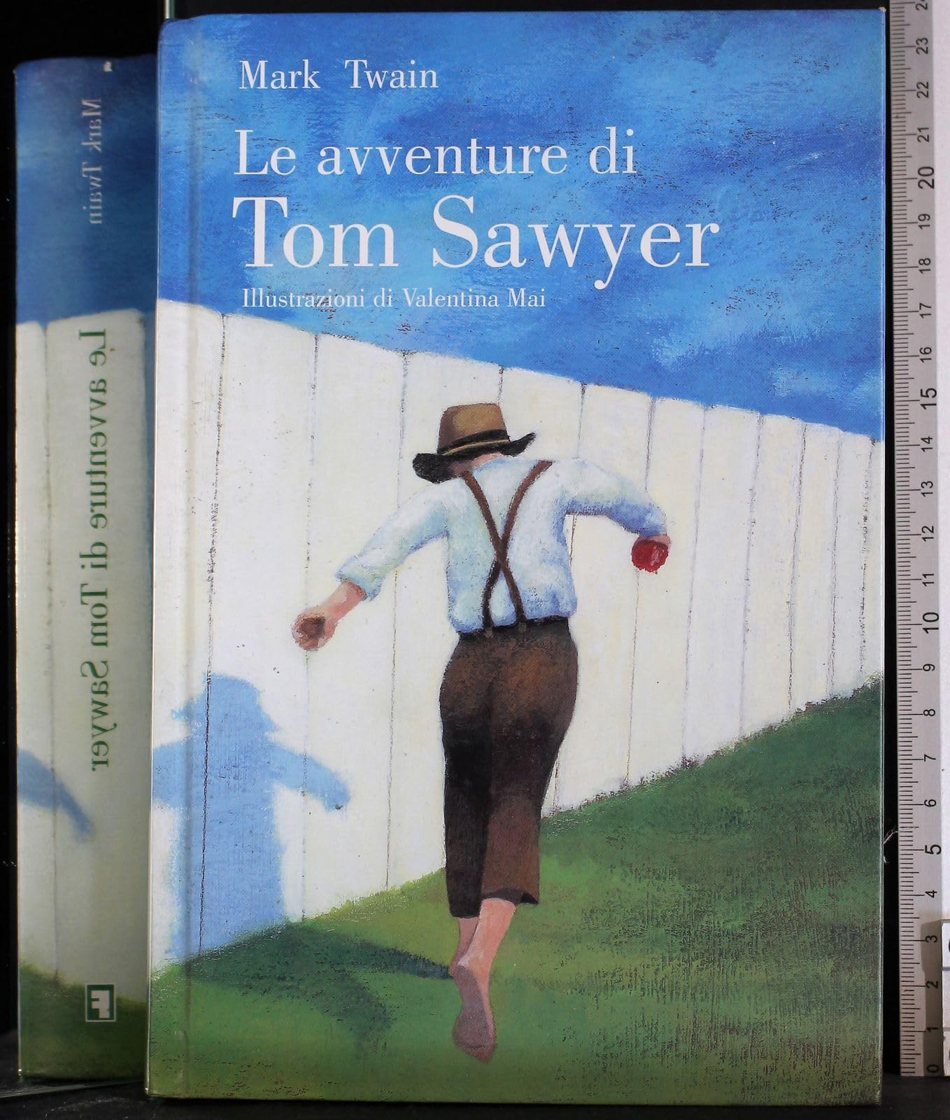 Le avventure di Tom Sawyer. Ediz. illustrata book