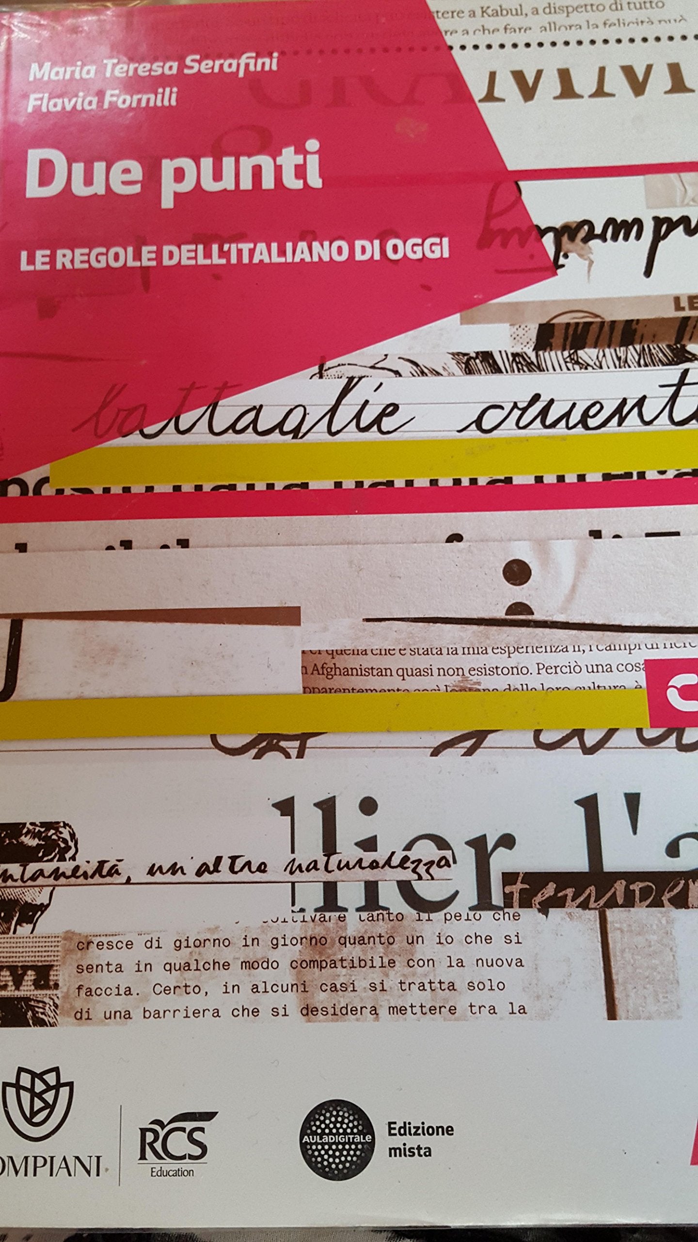 Due punti Le regole dell'italiano di oggi A book