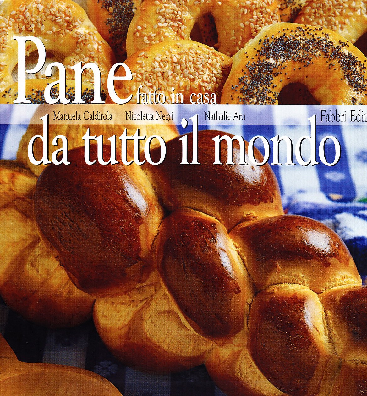 Pane fatto in casa da tutto il mondo book