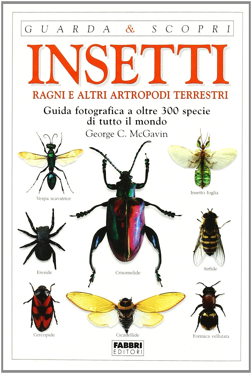 Insetti, ragni e altri artropodi terrestri. Guida fotografica a oltre 300 specie di tutto il mondo Leisure, Home & Garden