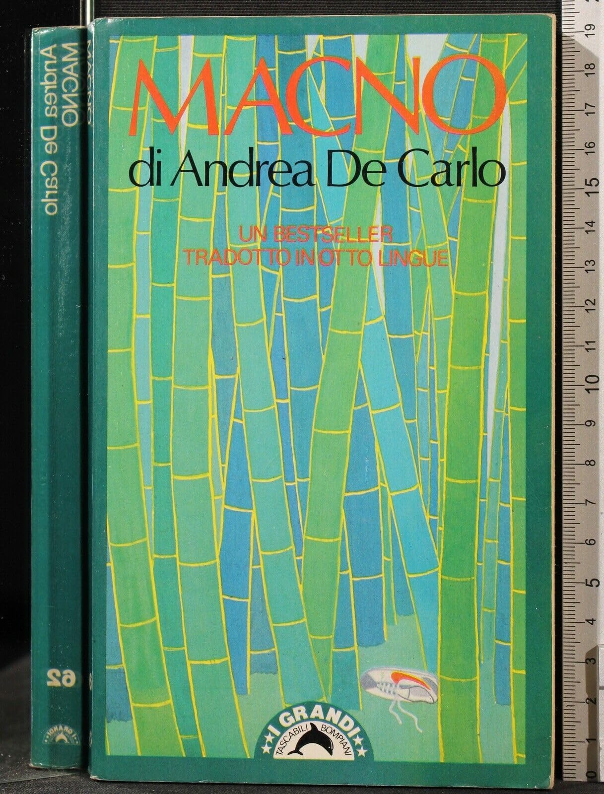 Macno Uable Guide for Winning the Lo (I grandi tascabili) Contemporary literature