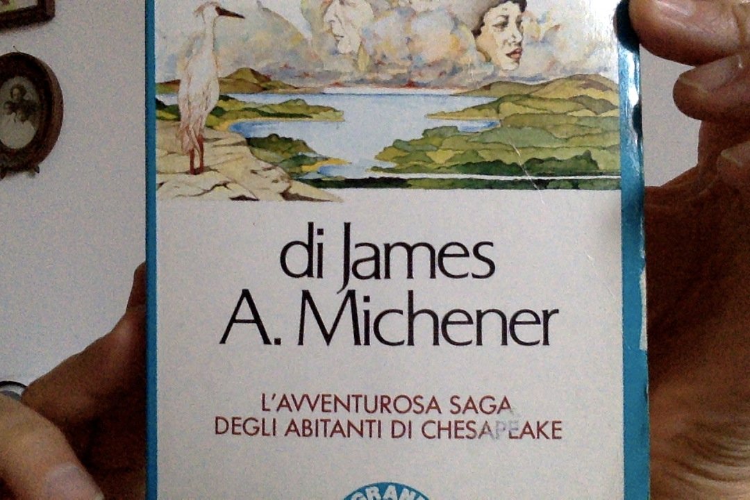La baia (I grandi tascabili) Historical Fiction