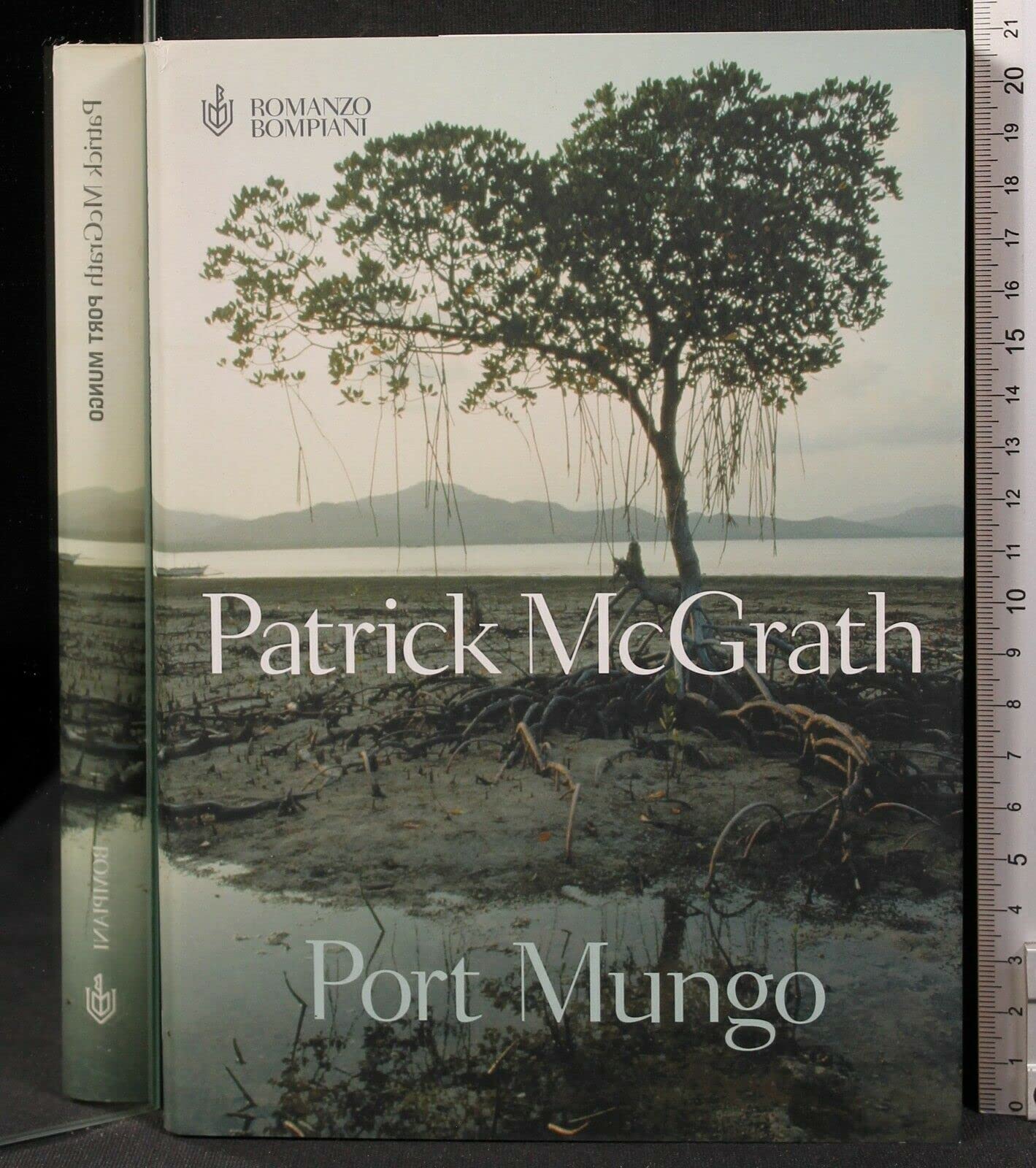 Port Mungo (Narrativa straniera) Contemporary literature