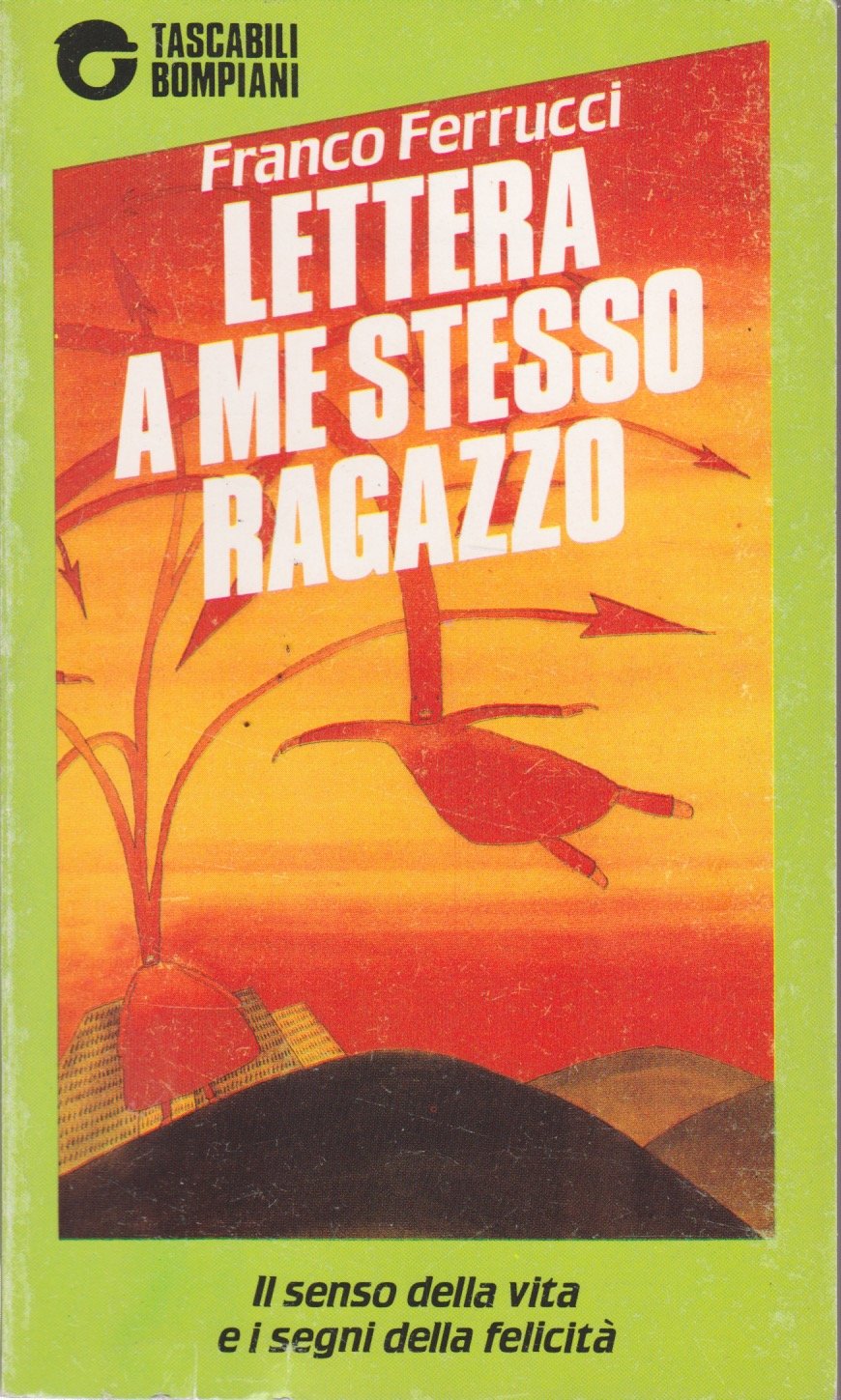 Lettera a me stesso ragazzo book
