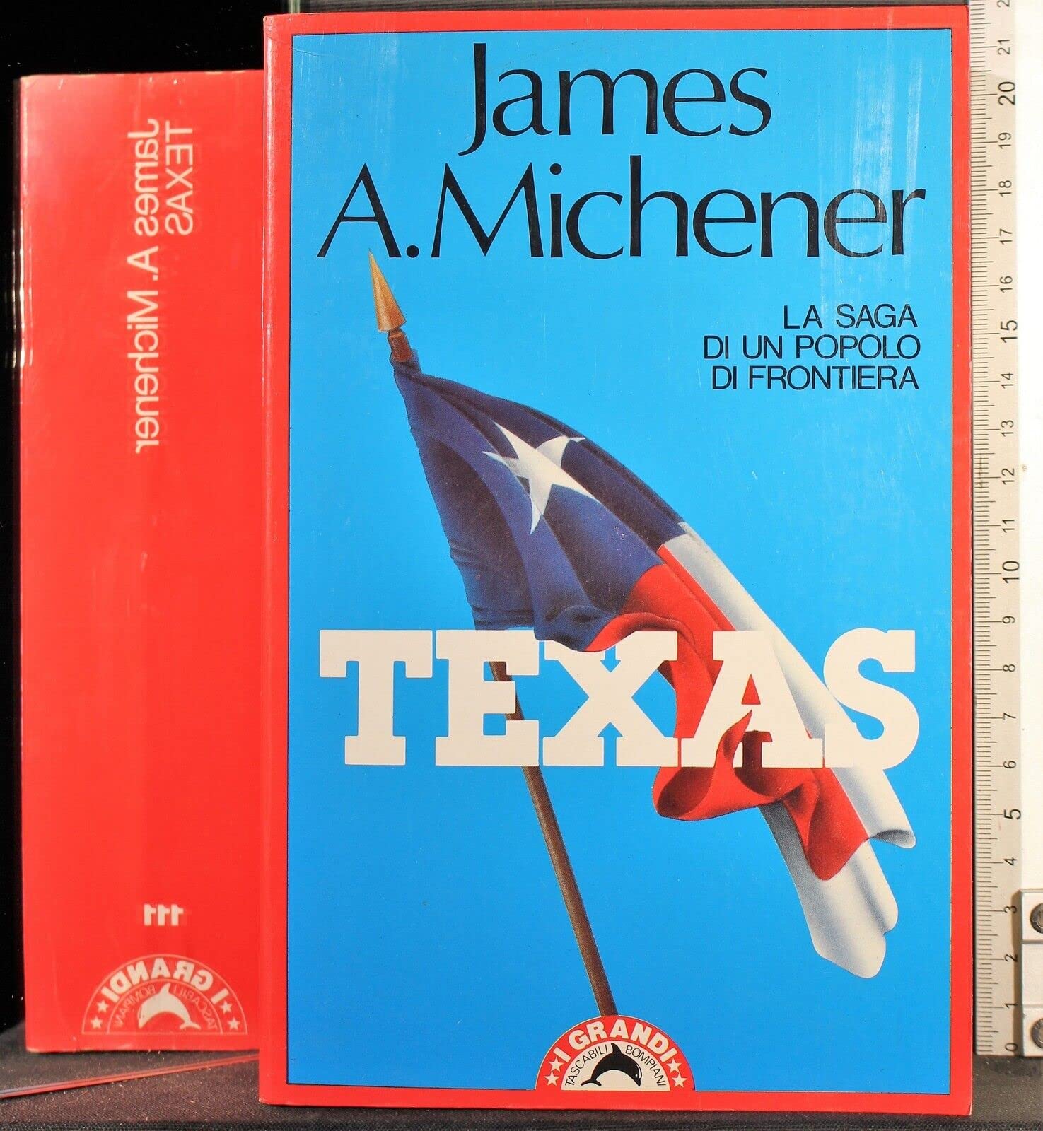 Texas (I grandi tascabili) Contemporary literature