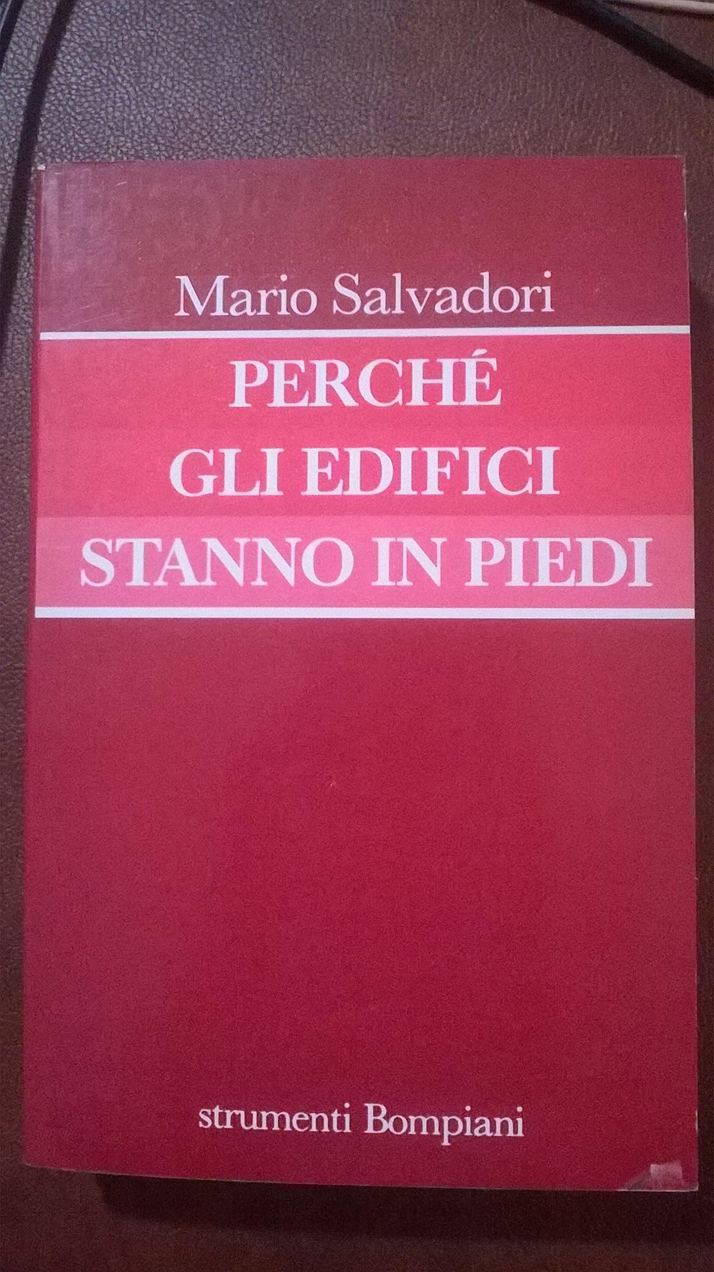 Perché gli edifici stanno in piedi (Strumenti Bompiani) Business & Technology