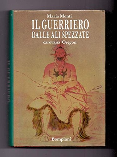 Il guerriero dalle ali spezzate book