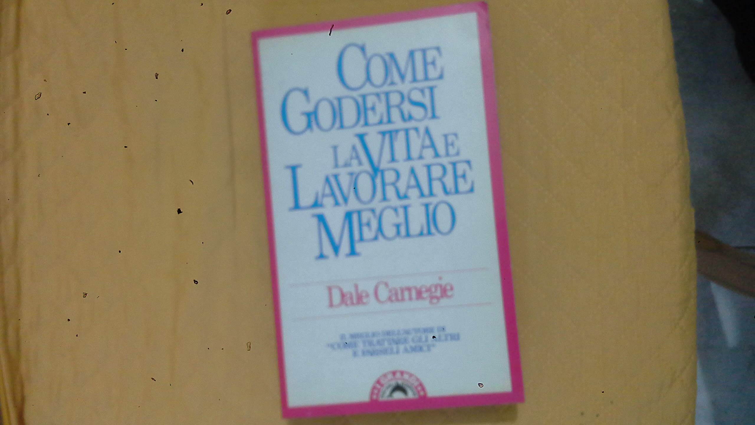 Come godersi la vita e lavorare meglio (I grandi tascabili) Business, Finance & Career