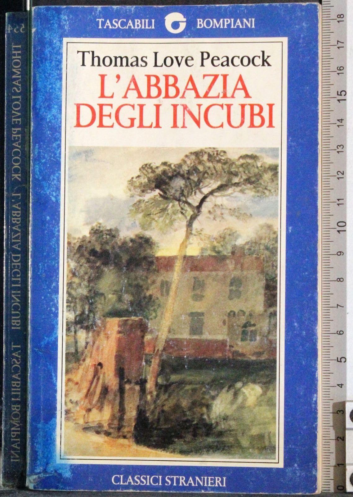 L'abbazia degli incubi (Tascabili narrativa) Horror & Mystery