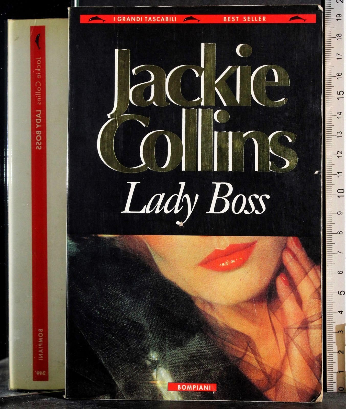 Lady boss (I grandi tascabili) Contemporary literature