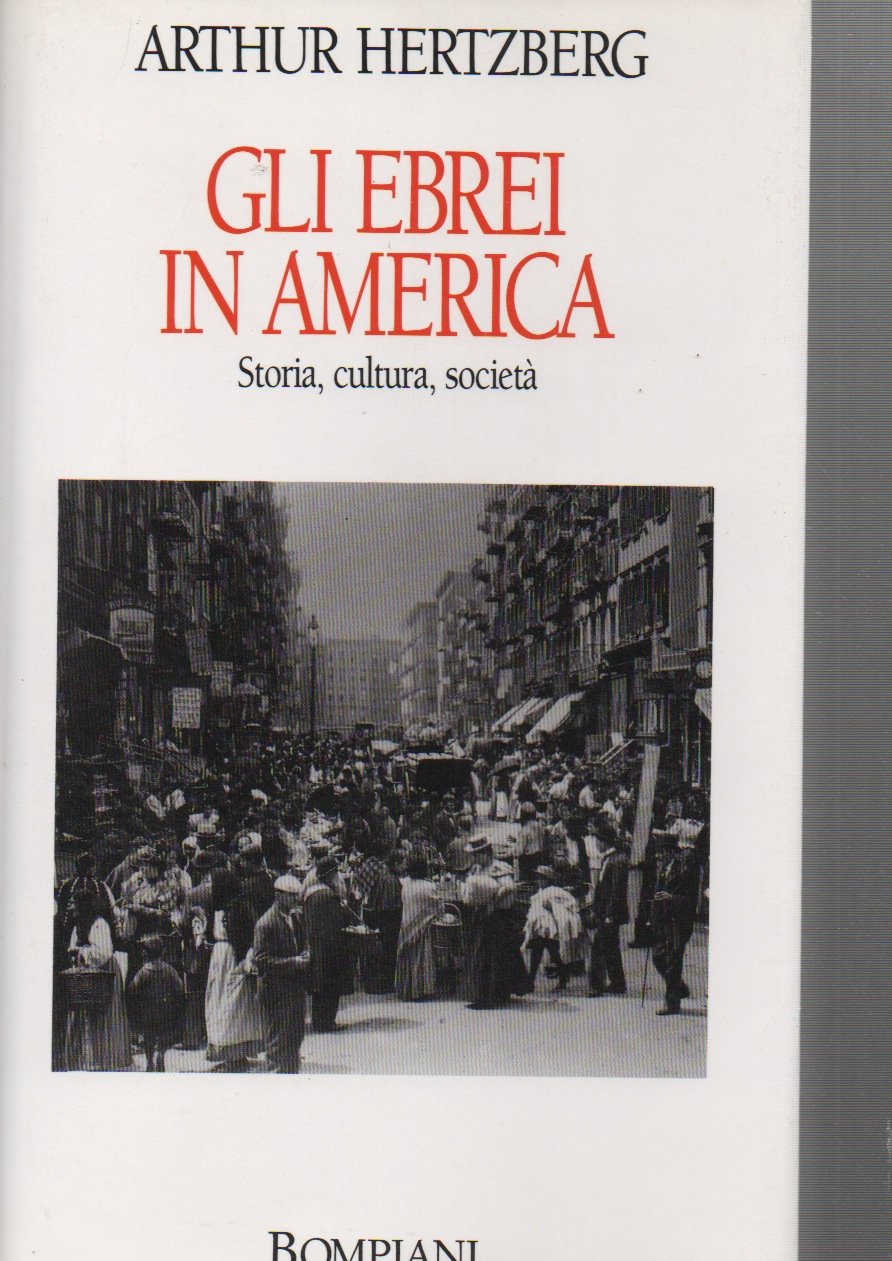 Gli ebrei in America. Storia, cultura, società book