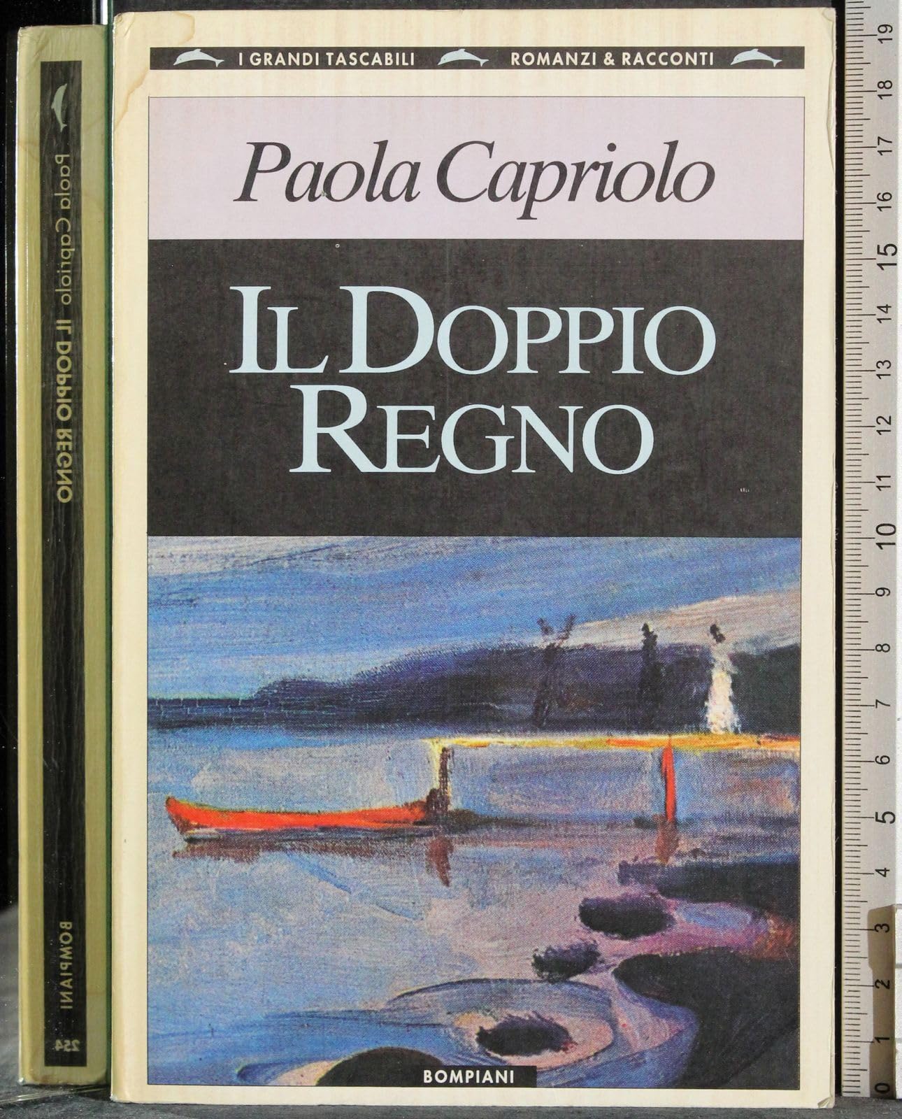 Il Doppio Regno (I grandi tascabili) Contemporary literature