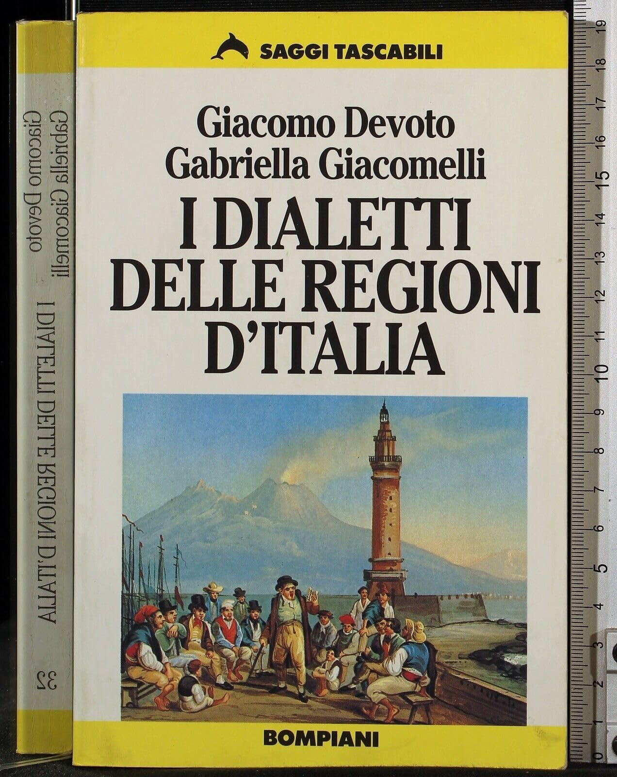 I dialetti delle regioni d'Italia (Tascabili. Saggi) Social Sciences