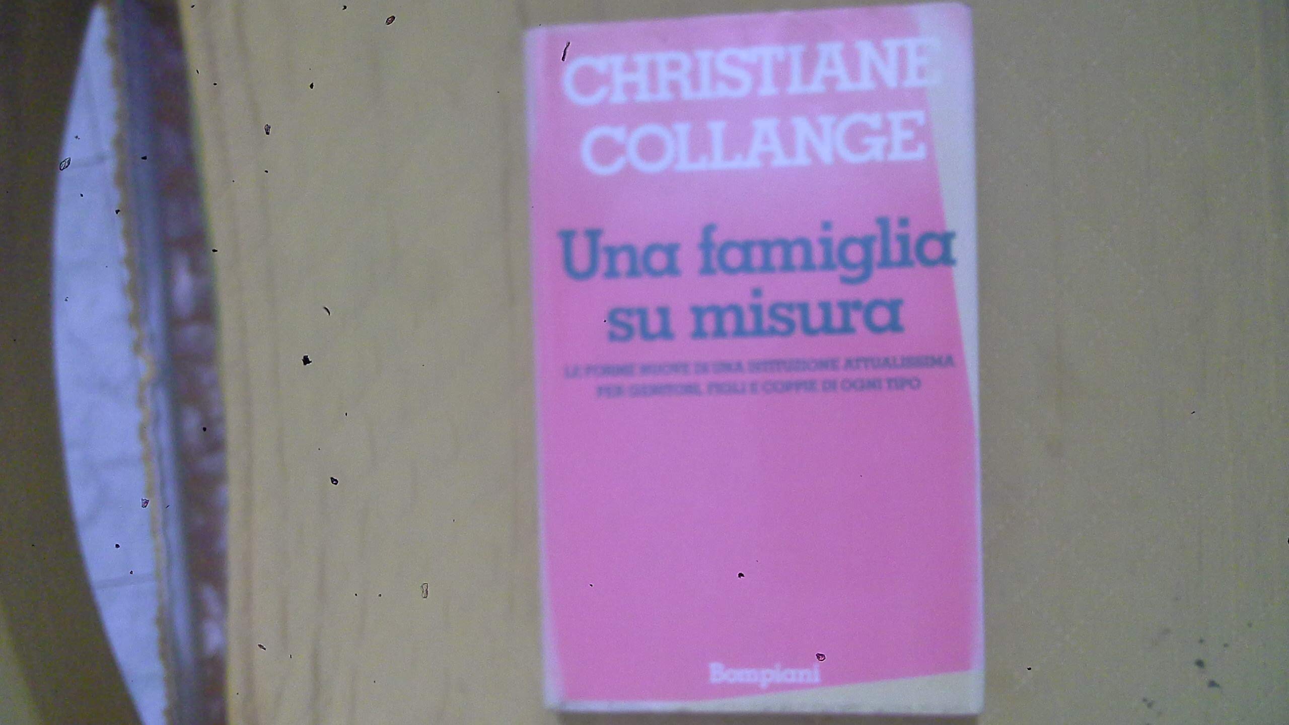 Una famiglia su misura (Saggistica) Partnership & Love