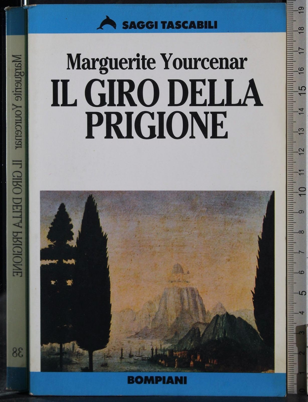 Il giro della prigione (Tascabili. Saggi) Essays & Short Stories