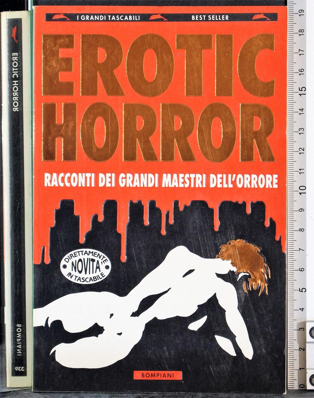 Erotic horror (I grandi tascabili) Contemporary literature
