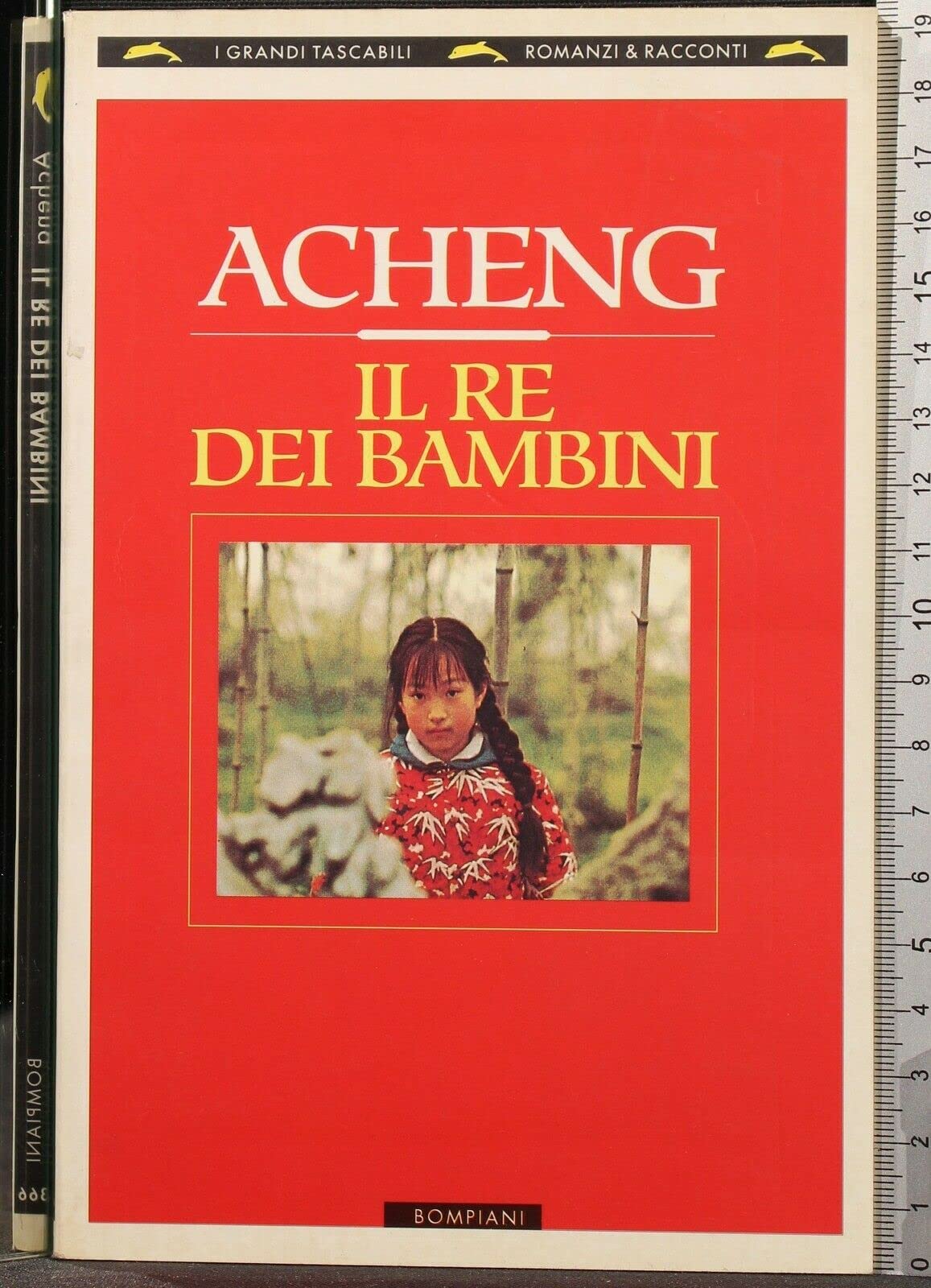 Il re dei bambini (I grandi tascabili) Contemporary literature