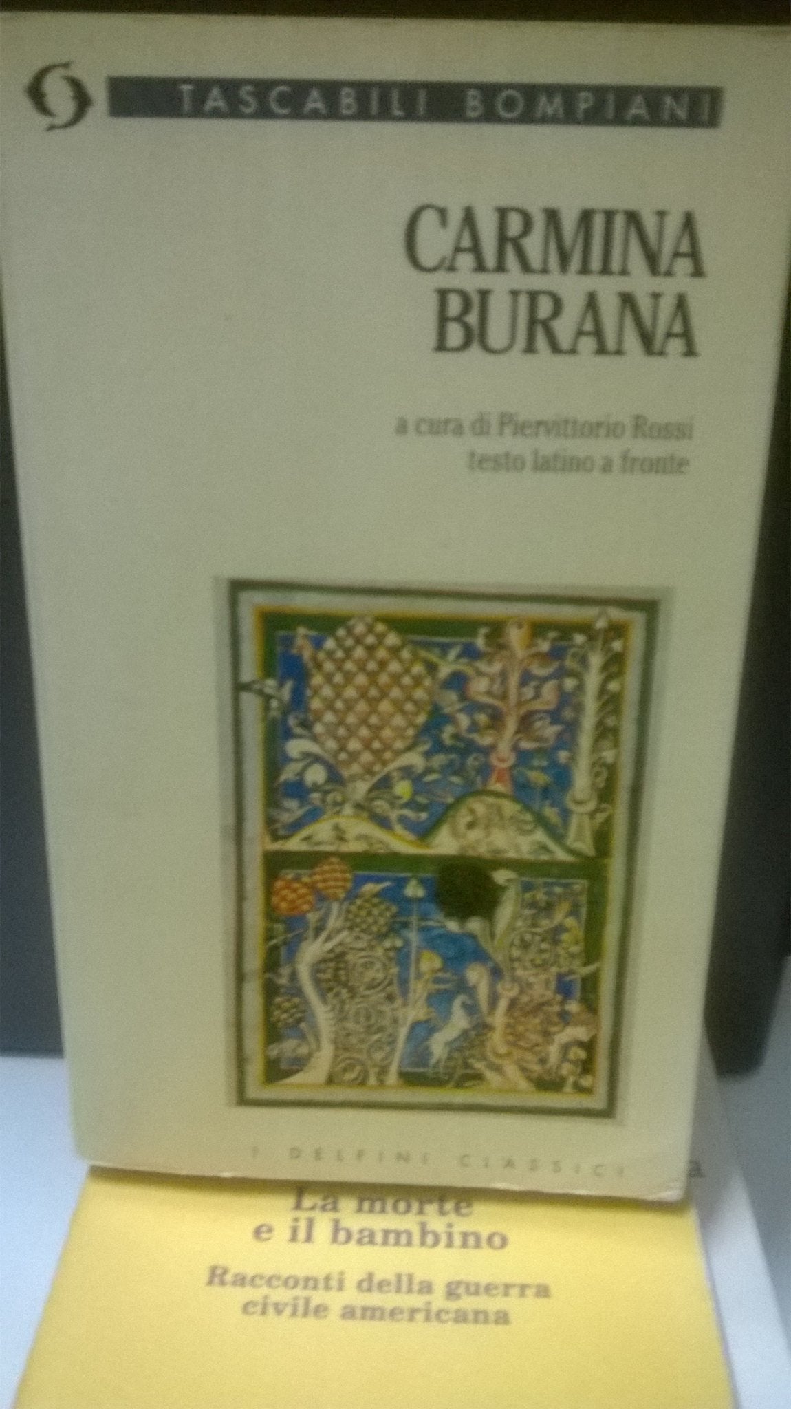 Carmina burana book