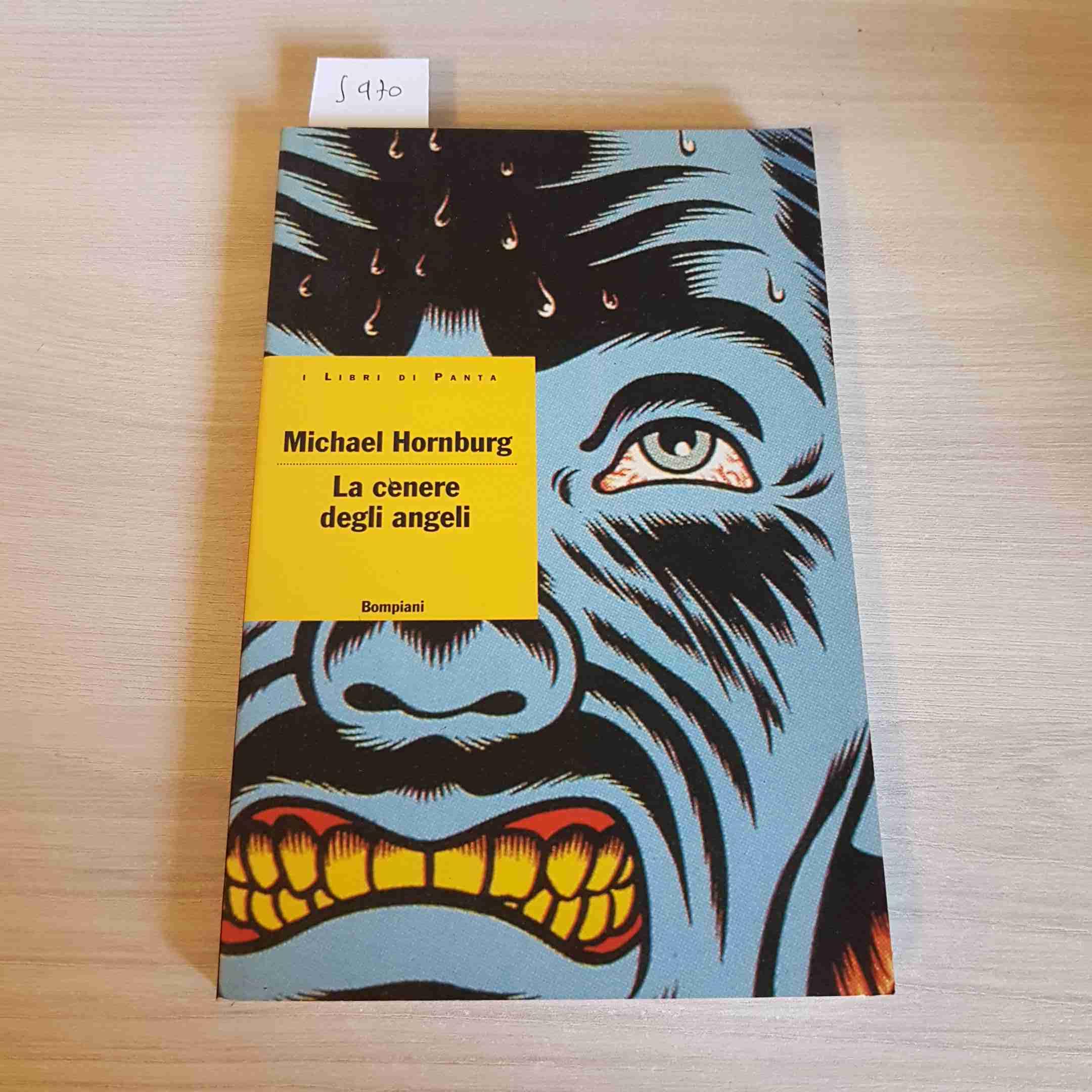 La cenere degli angeli (I libri di Panta) Contemporary literature