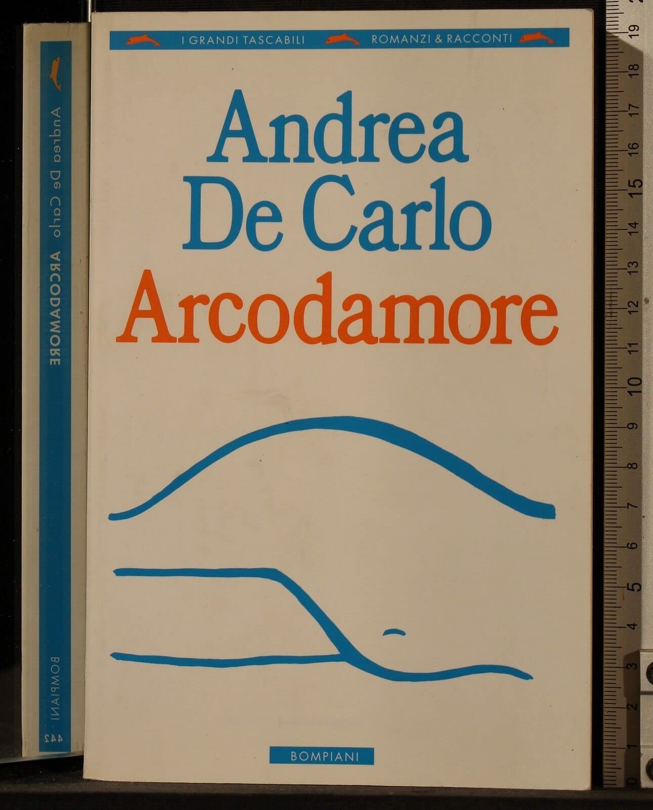 Arcodamore (I grandi tascabili) Contemporary literature