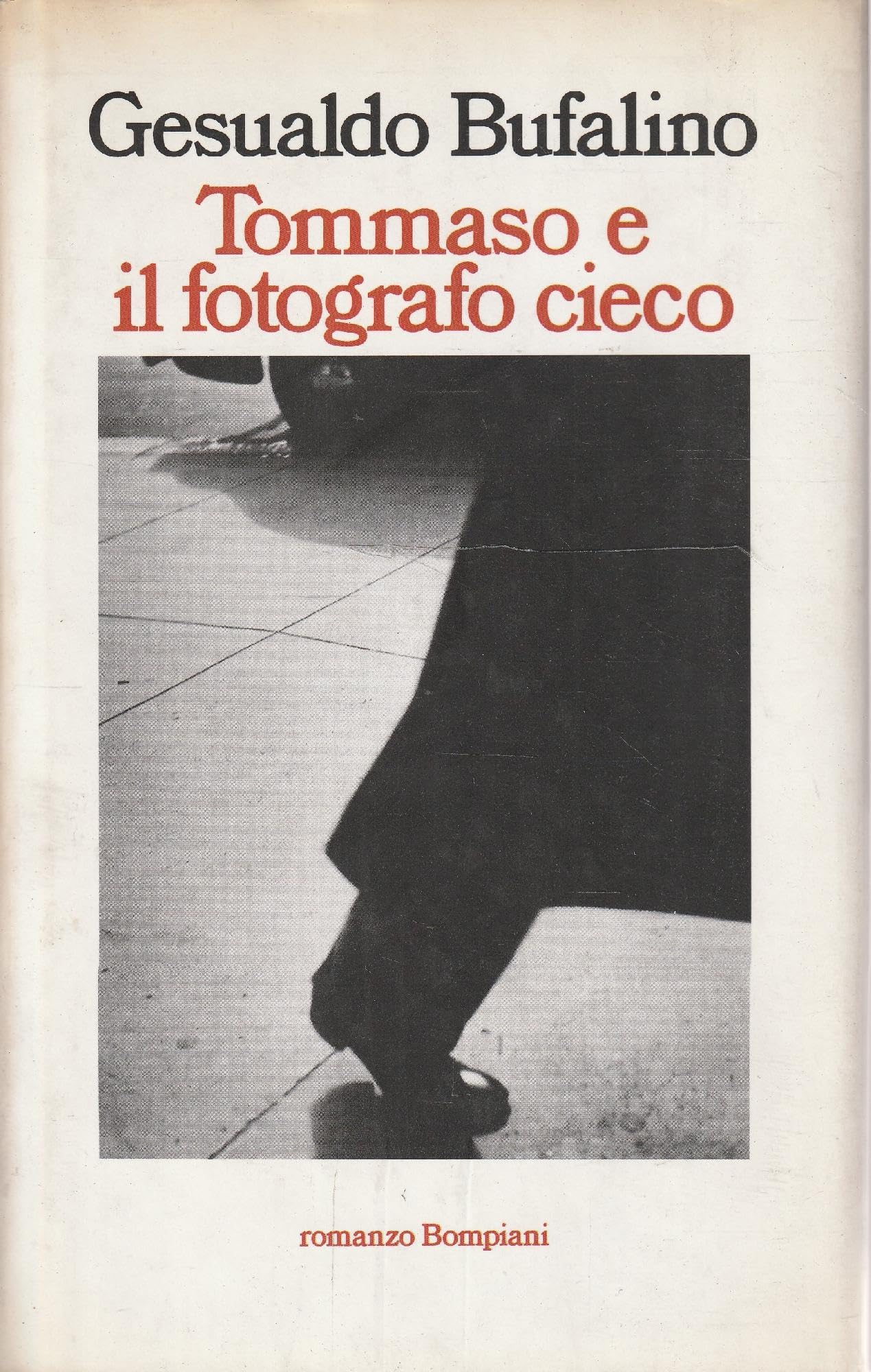 Tommaso e il fotografo cieco (Letteraria) Contemporary literature