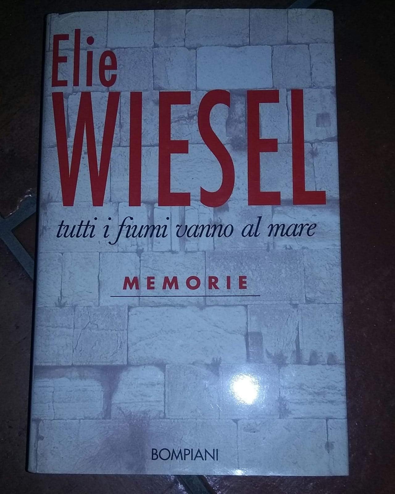 Tutti i fiumi vanno al mare. Memorie (Saggistica) German history