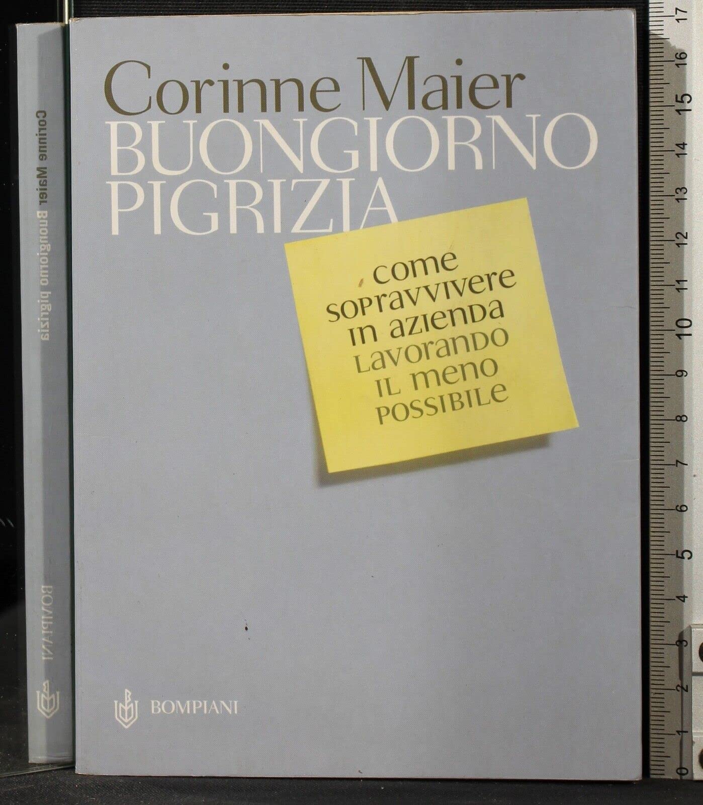 Buongiorno pigrizia. Come sopravvivere in azienda lavorando il meno possibile Non-fiction books
