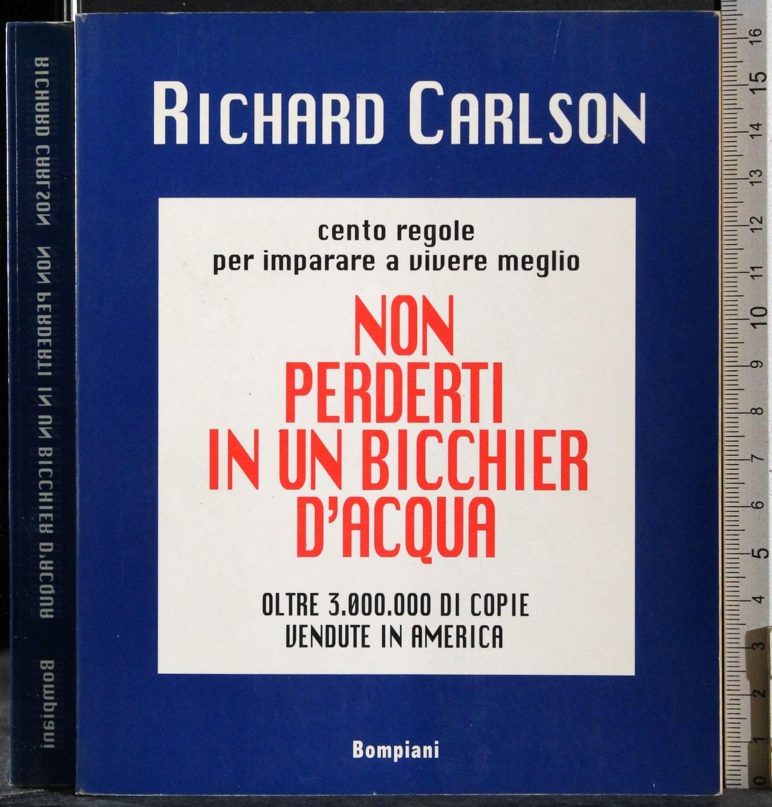 Non perderti in un bicchier d'acqua (Le chiavi. Saggistica) Psychology