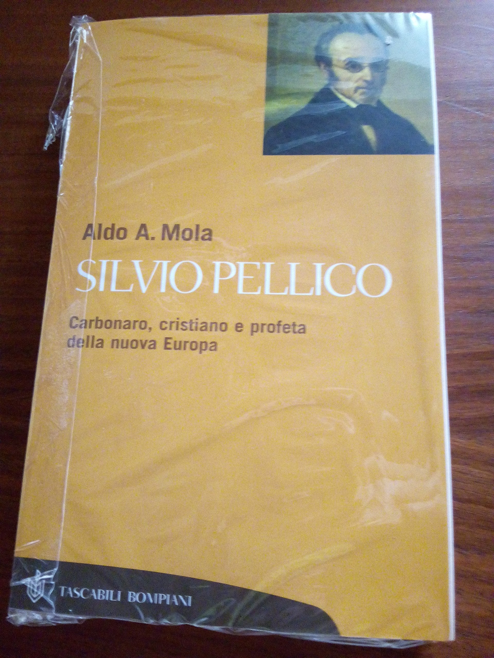 Silvio Pellico. Carbonaro, cristiano e profeta della nuova Europa book