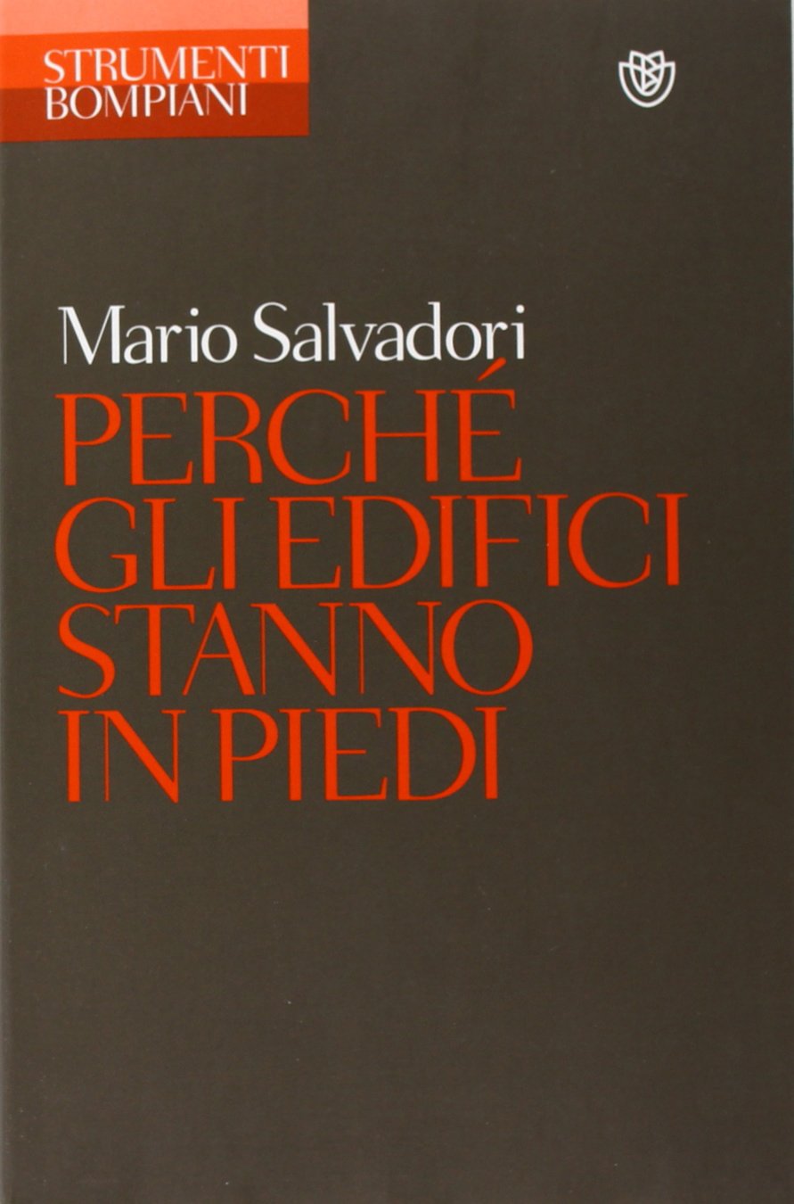 Perché gli edifici stanno in piedi (Strumenti Bompiani) Business & Technology