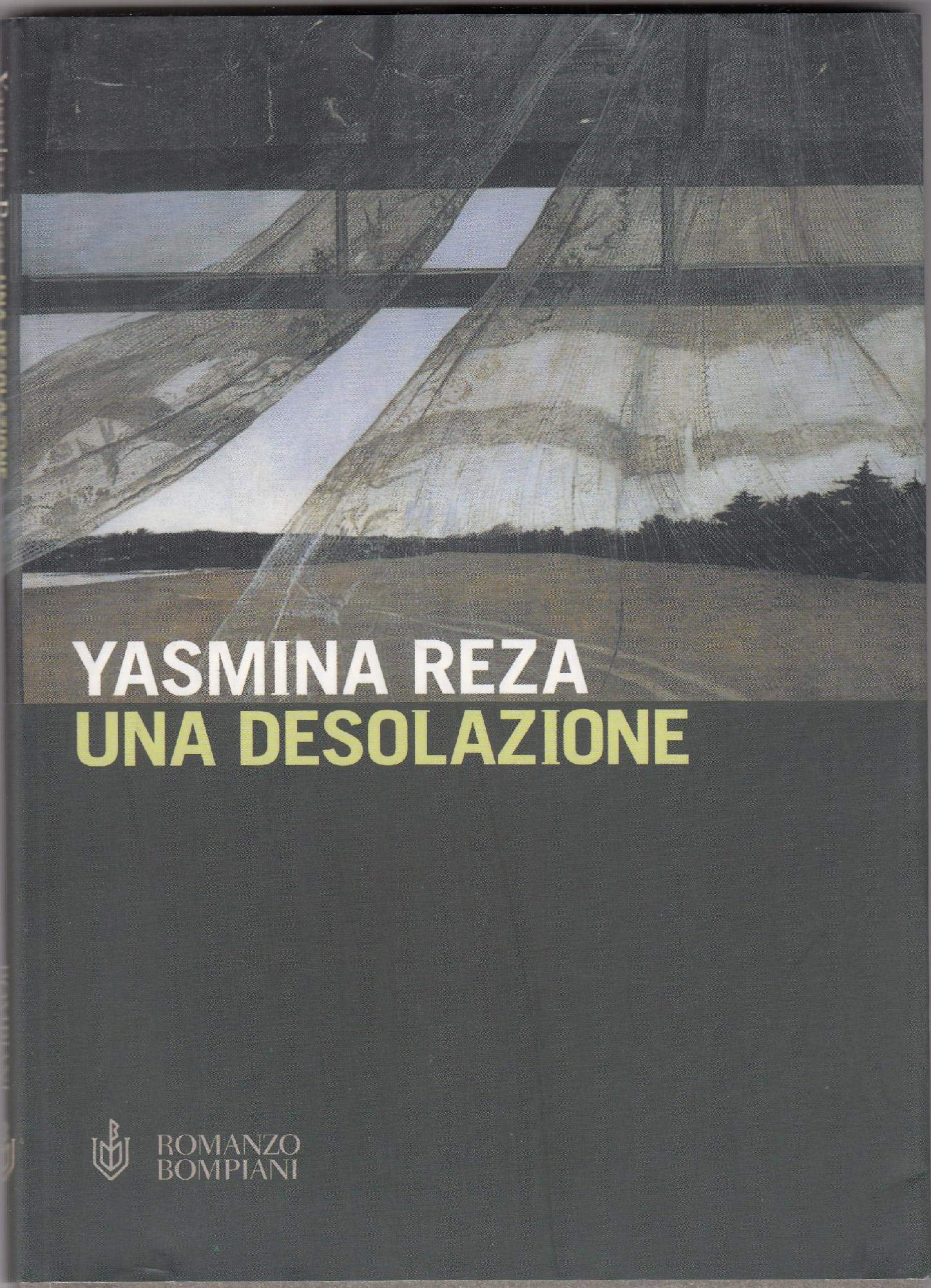 Una desolazione (Letteraria) Contemporary literature