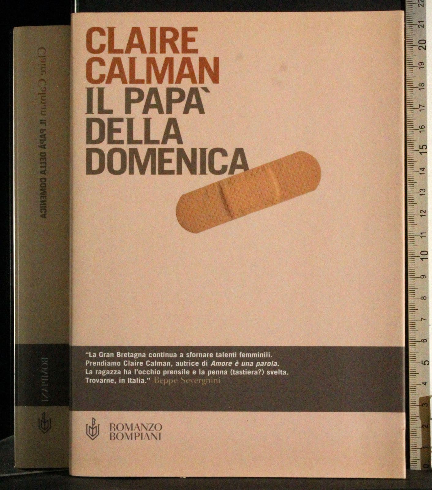 Il papà della domenica (Narrativa straniera) Contemporary literature