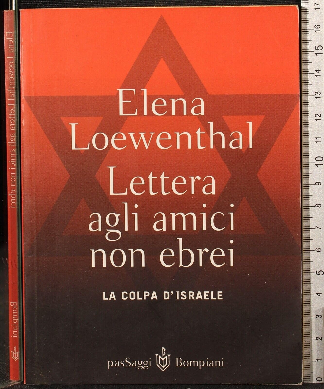 Lettera gli amici non ebrei. La colpa di Israele (PasSaggi) Religion & Esotericism