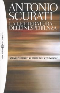 La letteratura dell'inesperienza. Scrivere romanzi al tempo della televisione Contemporary literature