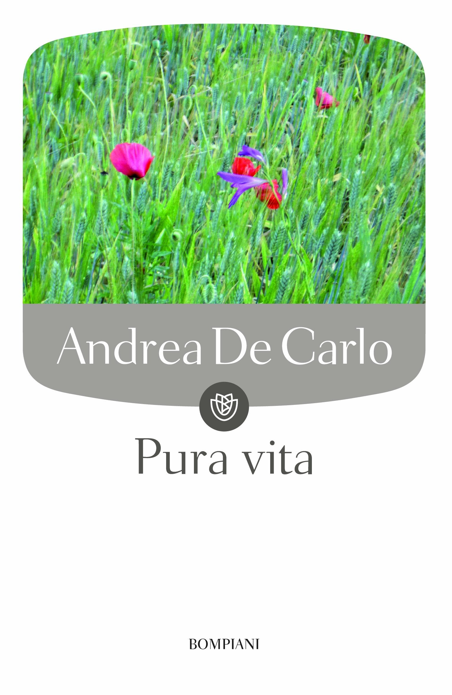 Pura vita (Tascabili) Contemporary literature