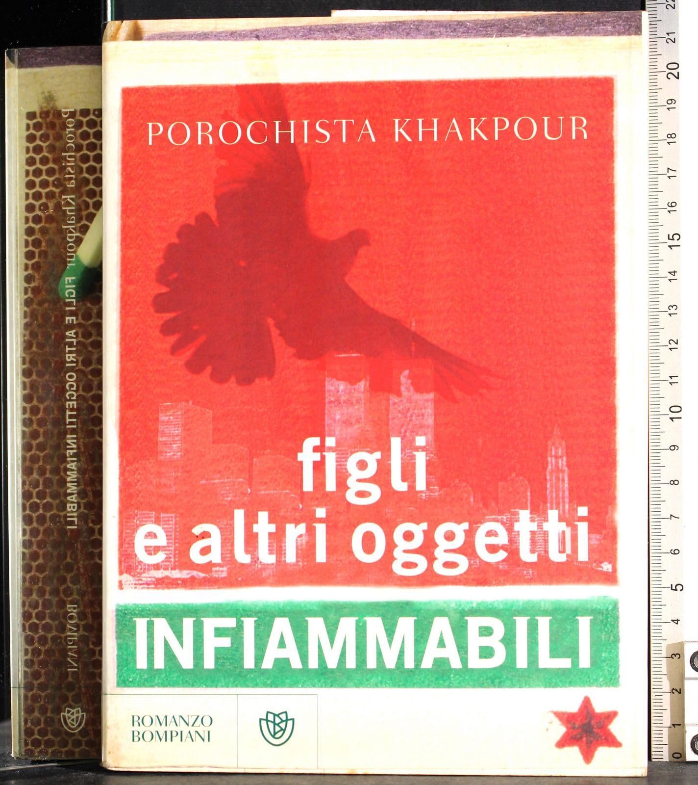 Figli e altri oggetti infiammabili book