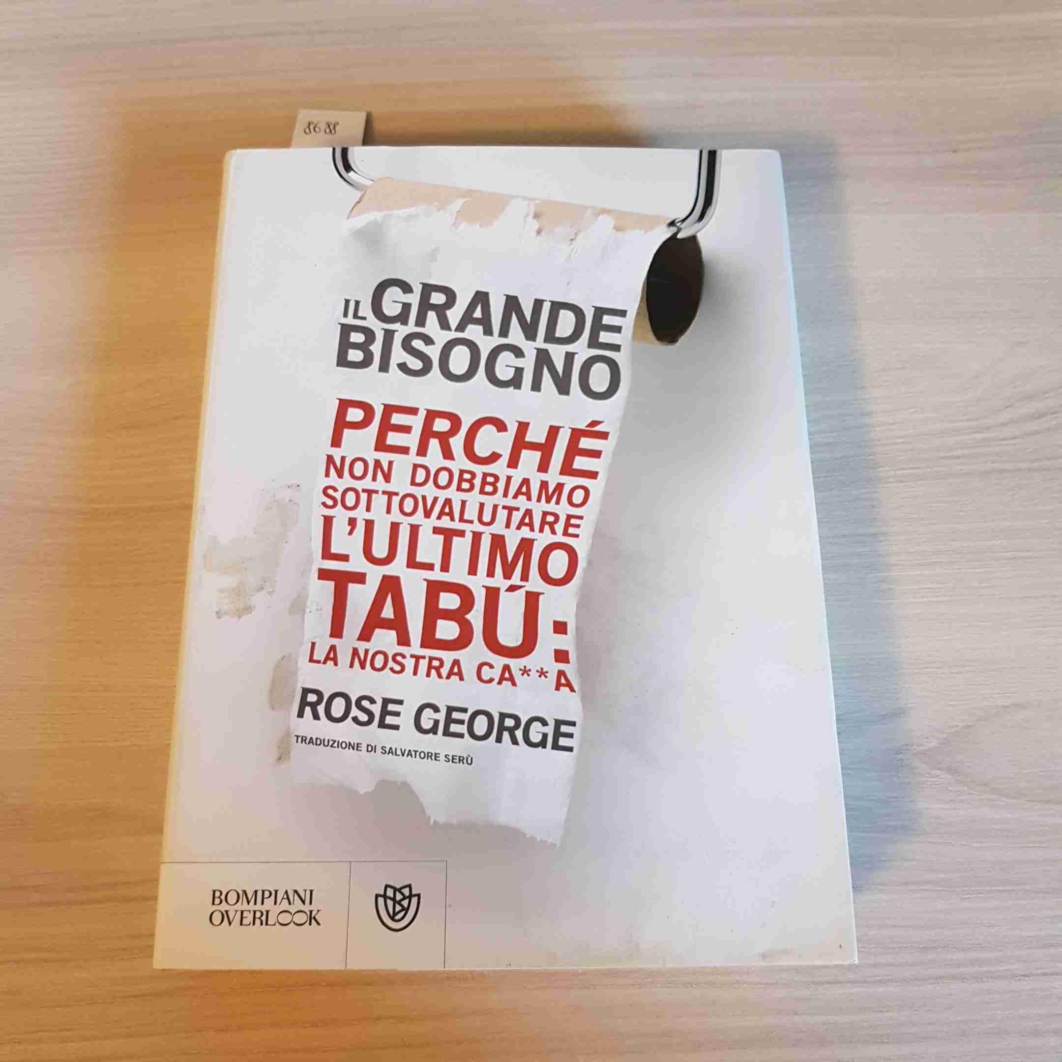 Il grande bisogno. Perché non dobbiamo sottovalutare l'ultimo tabù: la nostra ca××a book