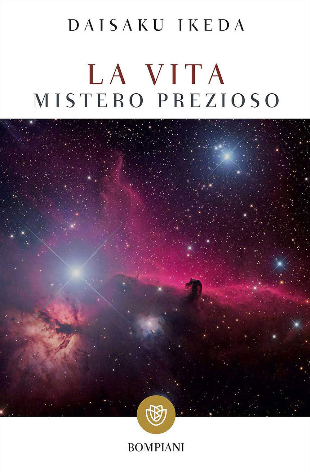 La vita. Mistero prezioso book