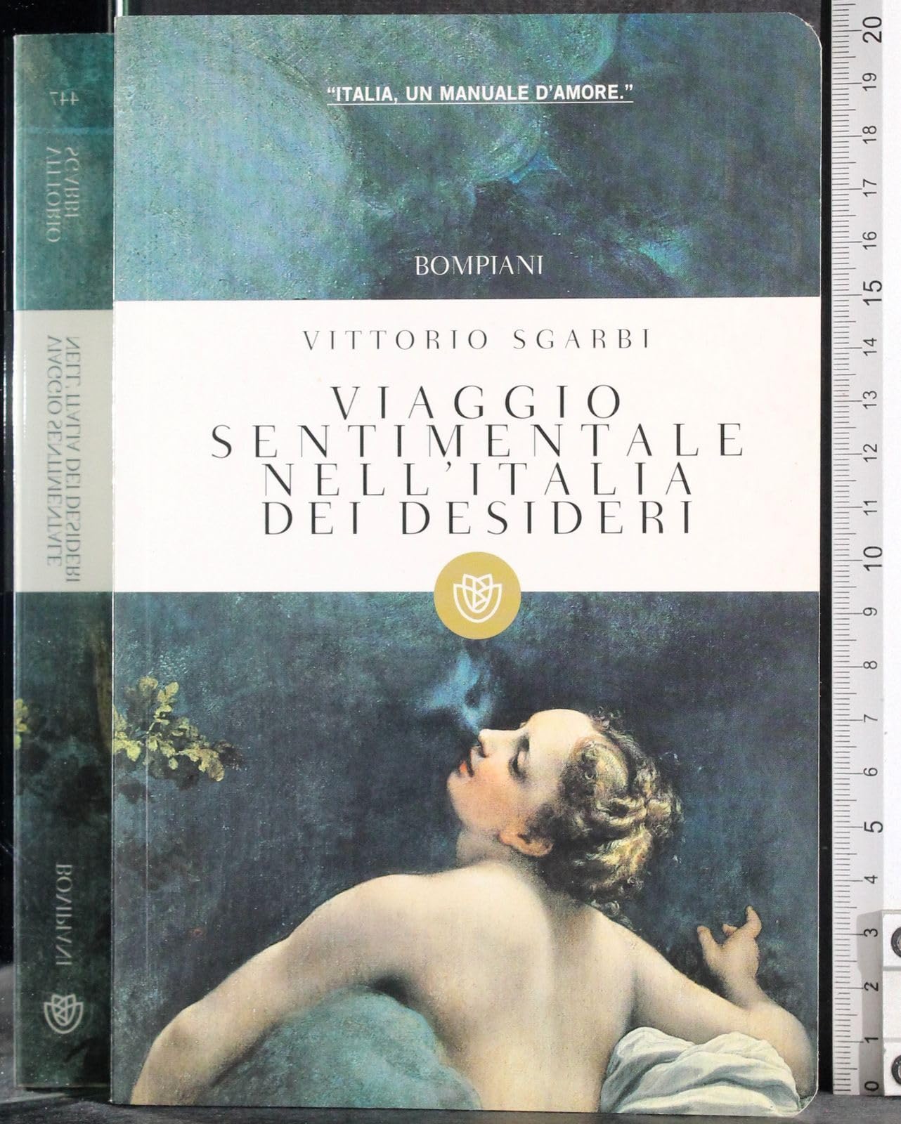 Viaggio sentimentale nell'Italia dei desideri book