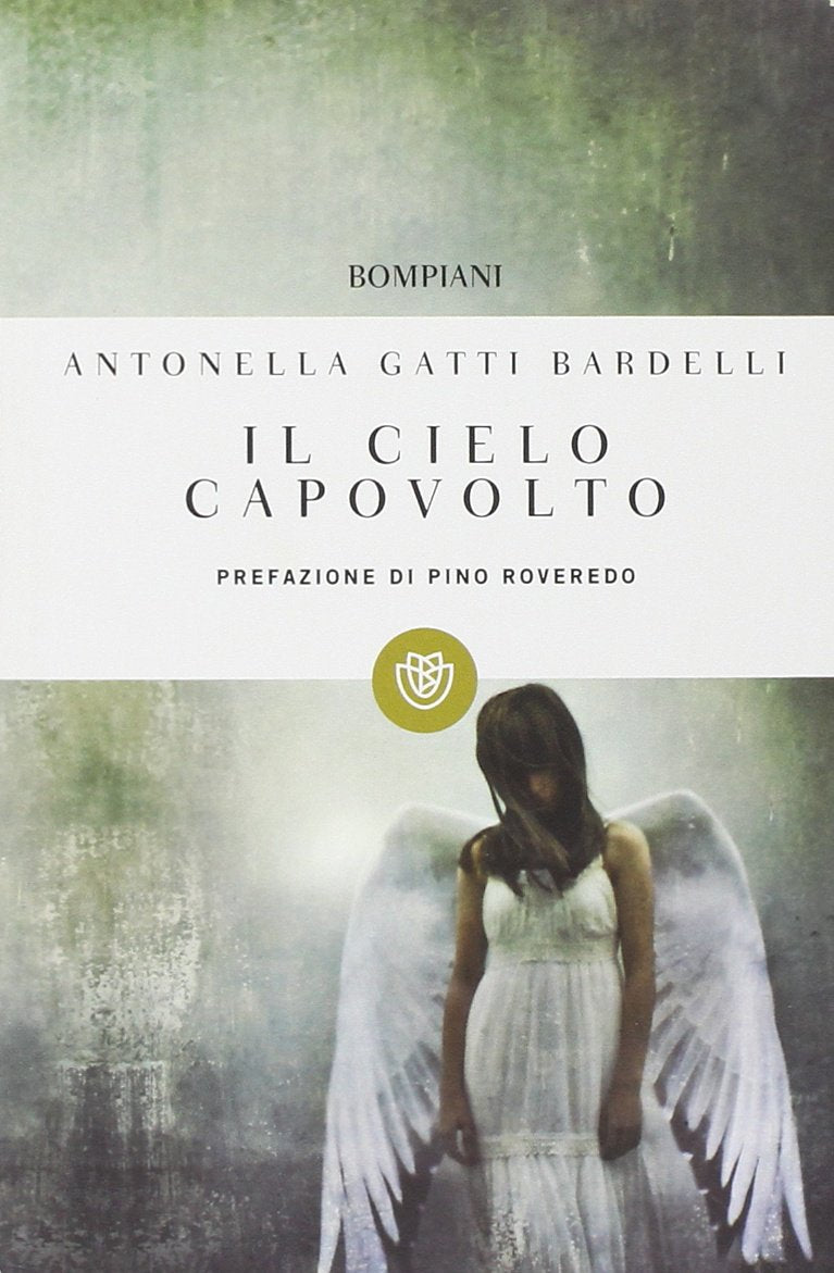 Il cielo capovolto book