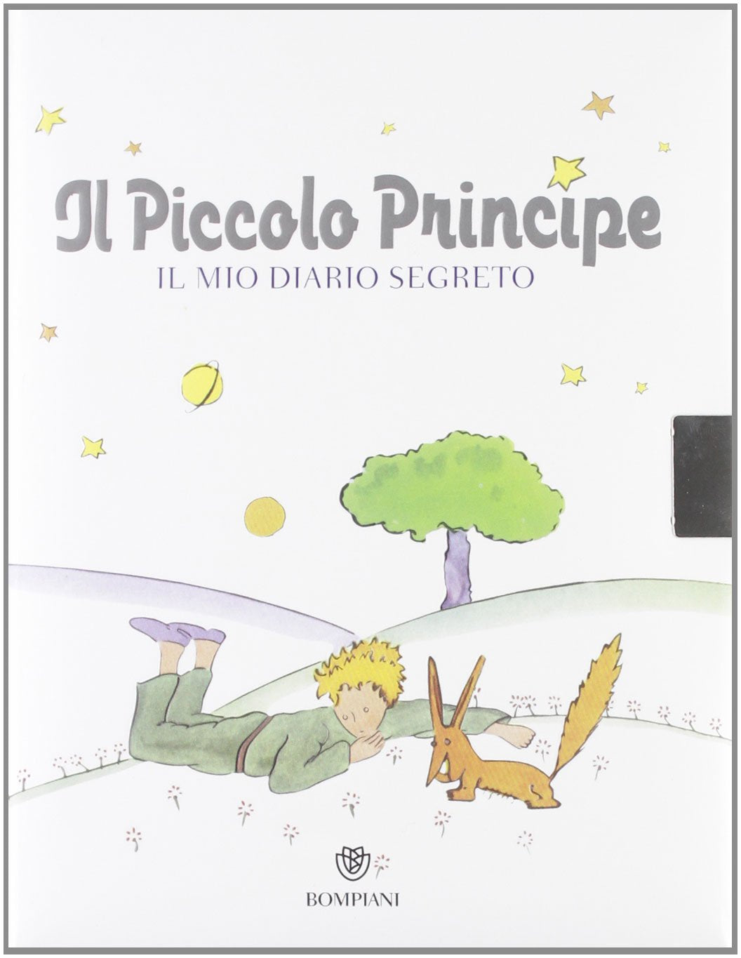 Il Piccolo Principe. Il mio diario segreto book