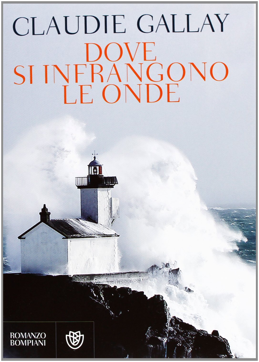 Dove si infrangono le onde book
