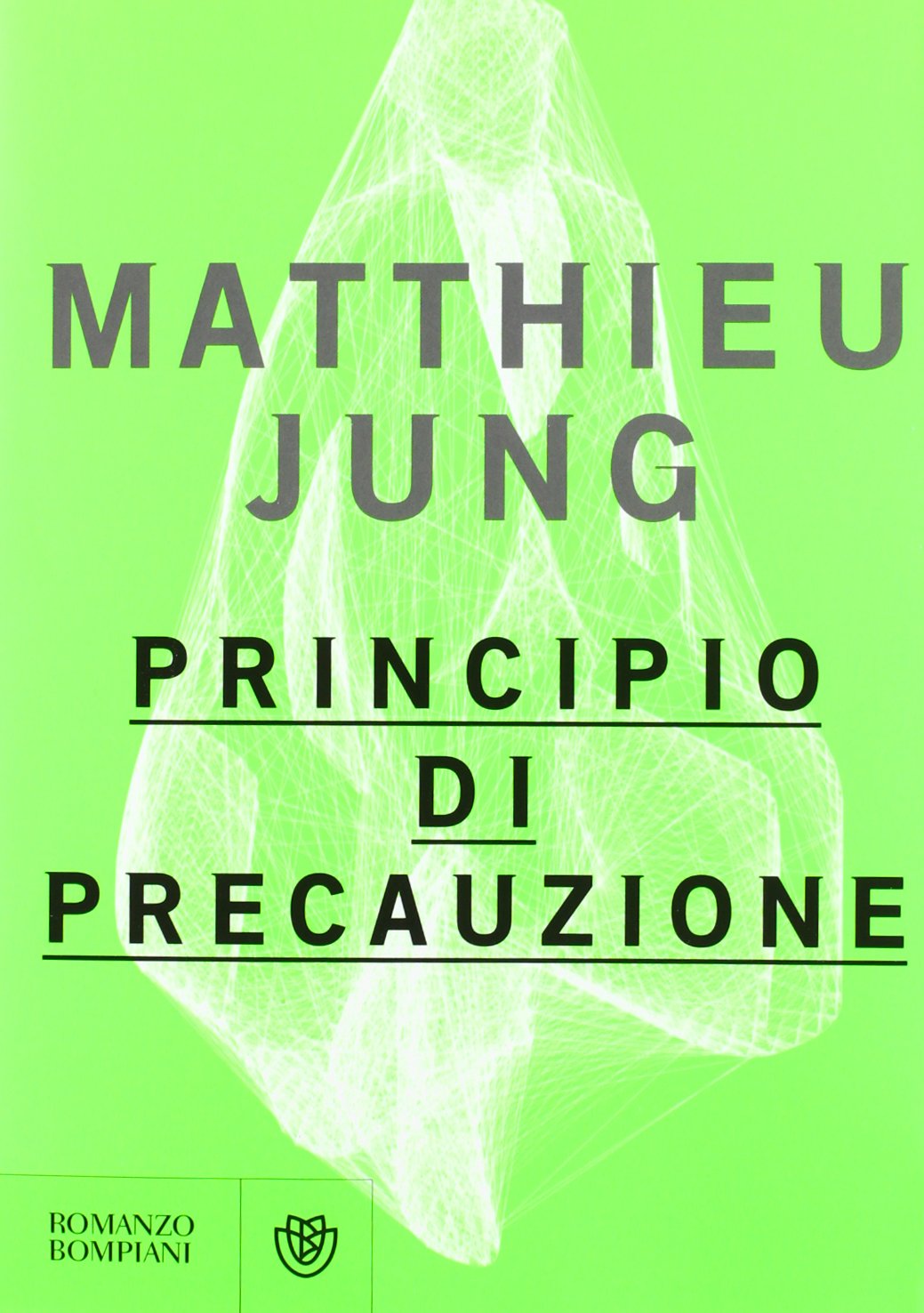 Principio di precauzione (Narrativa straniera) Contemporary literature