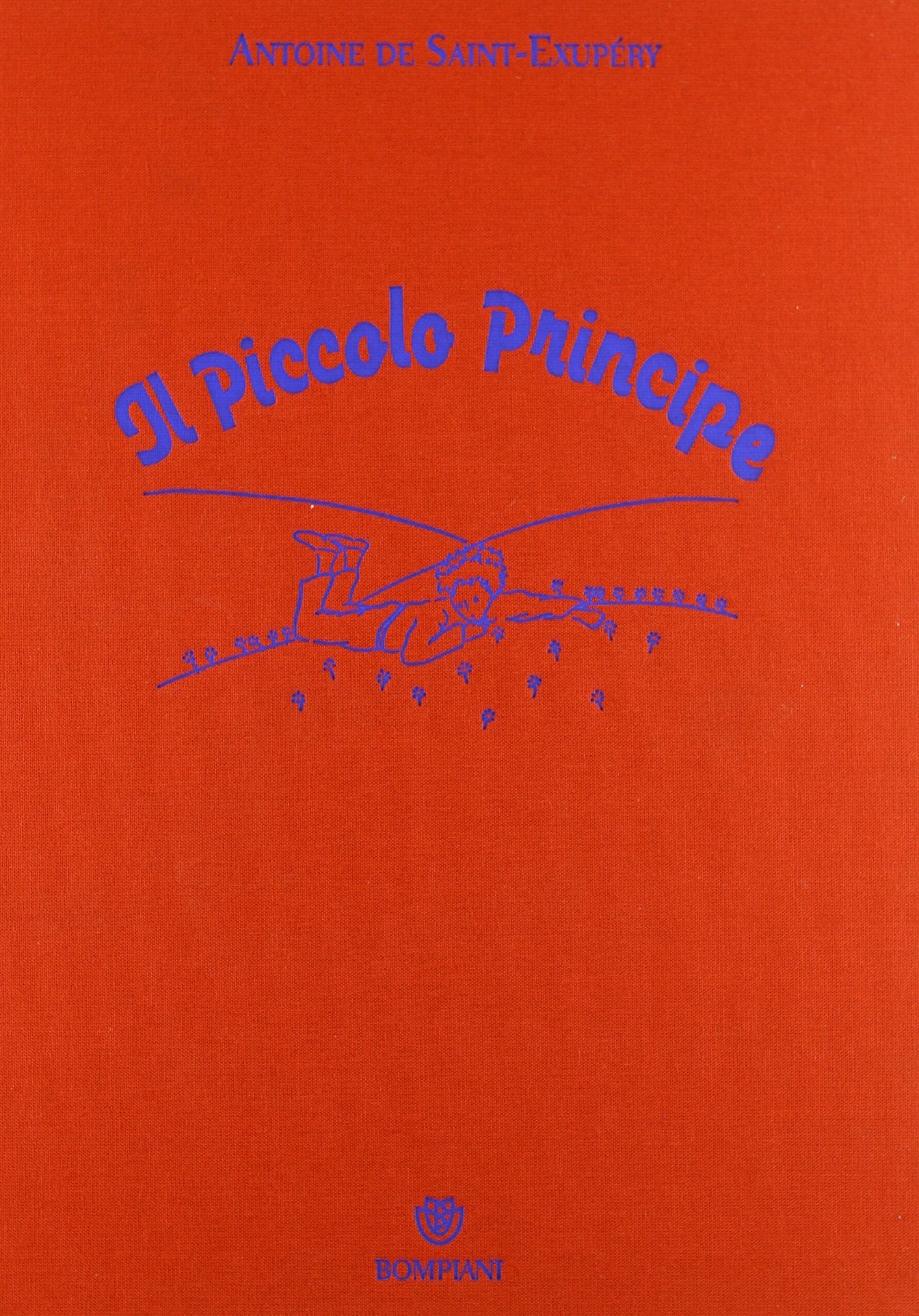Il piccolo principe book