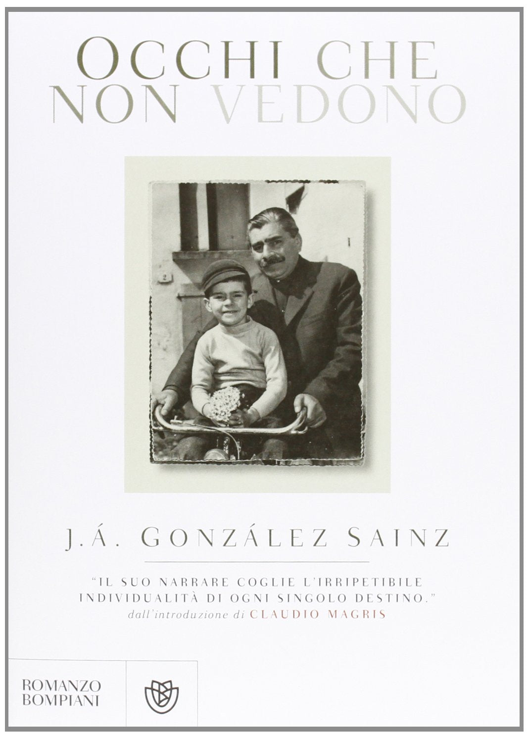 Occhi che non vedono (Narrativa straniera) Contemporary literature