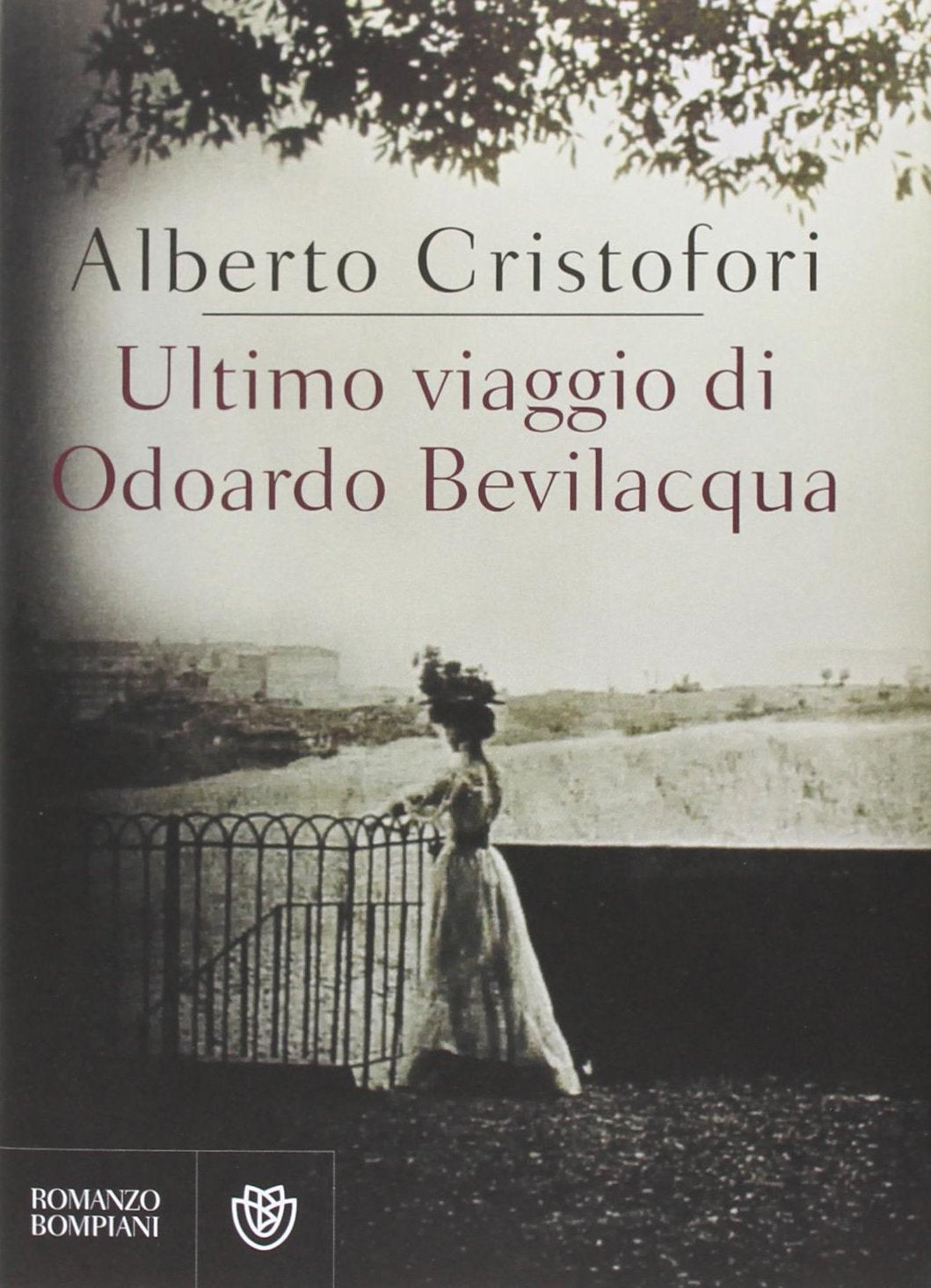 Ultimo viaggio di Odoardo Bevilacqua book