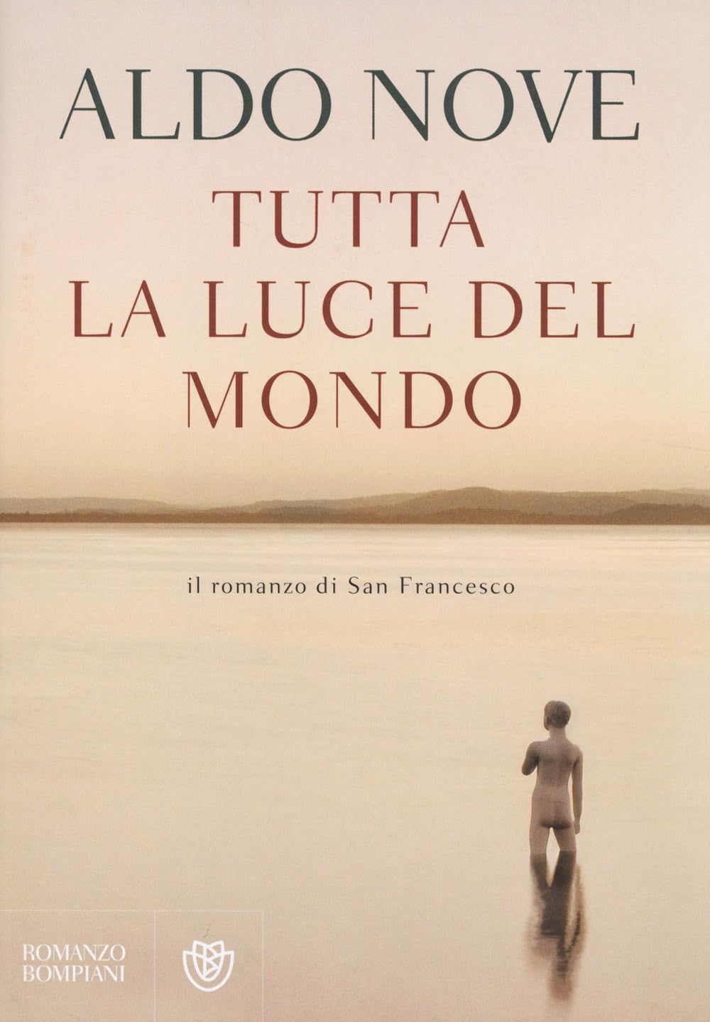 Tutta la luce del mondo. Il romanzo di San Francesco book